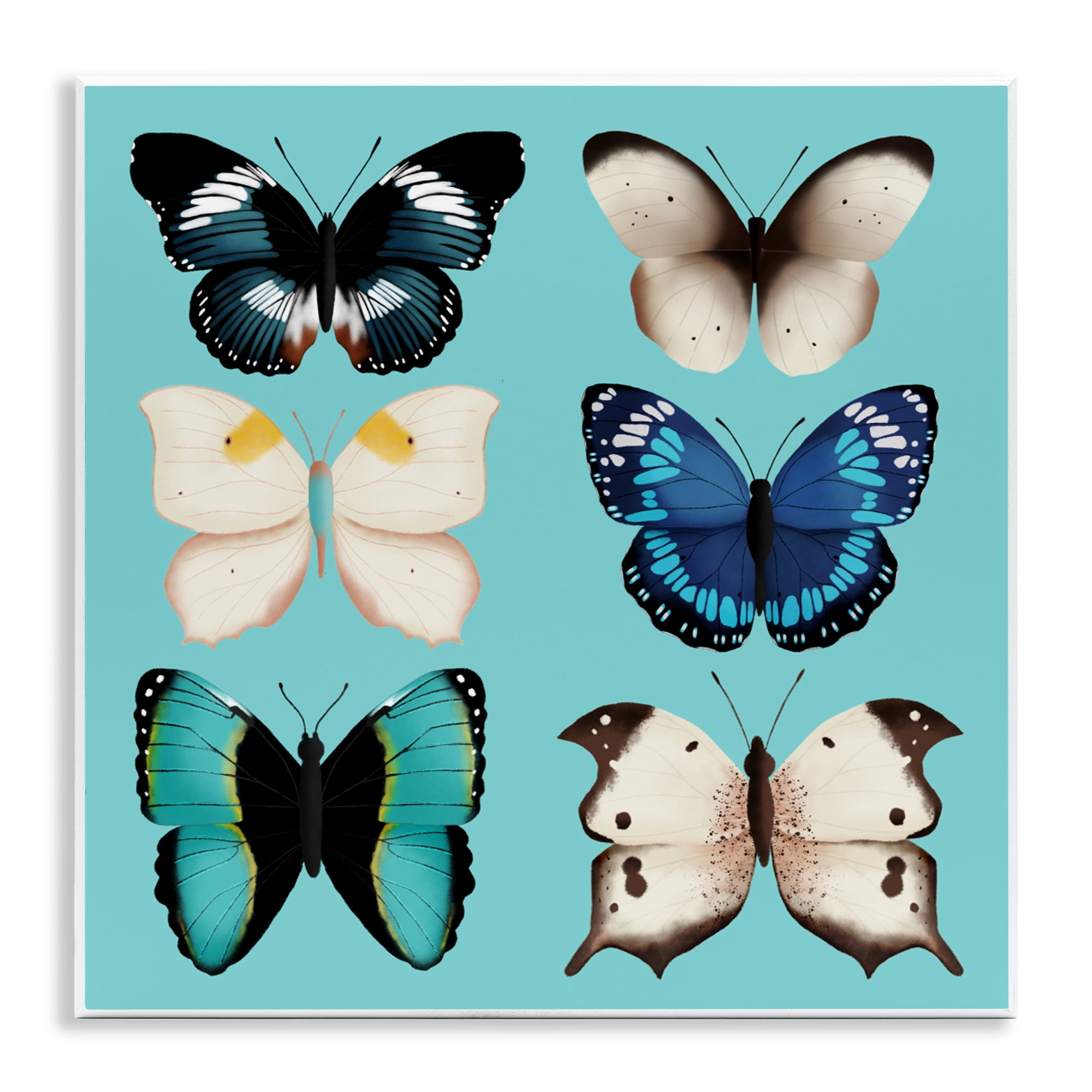 Stupell Industries Six Diverse Butterflies on Turquoise Wall Plaque Art, design by Metka Hiti