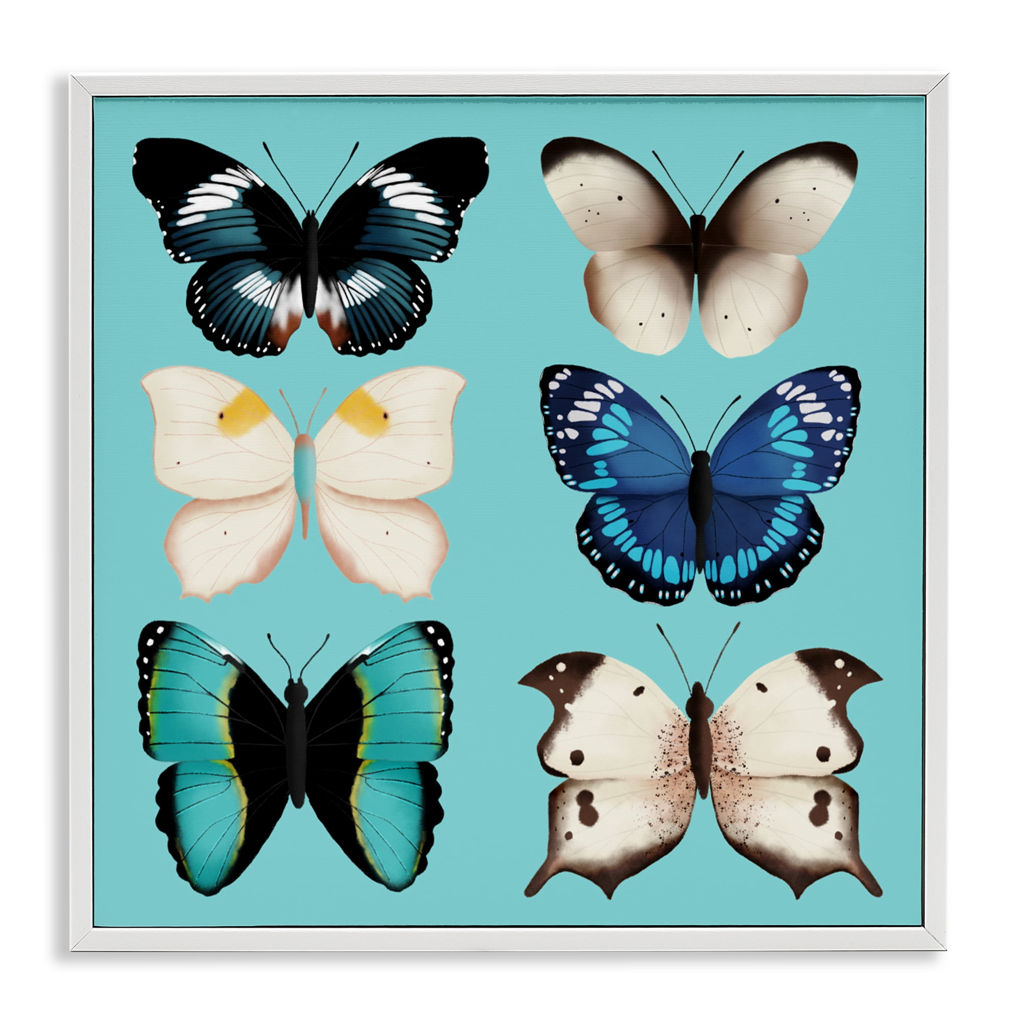 Stupell Industries Six Diverse Butterflies on Turquoise White Framed Giclee Art, design by Metka Hiti