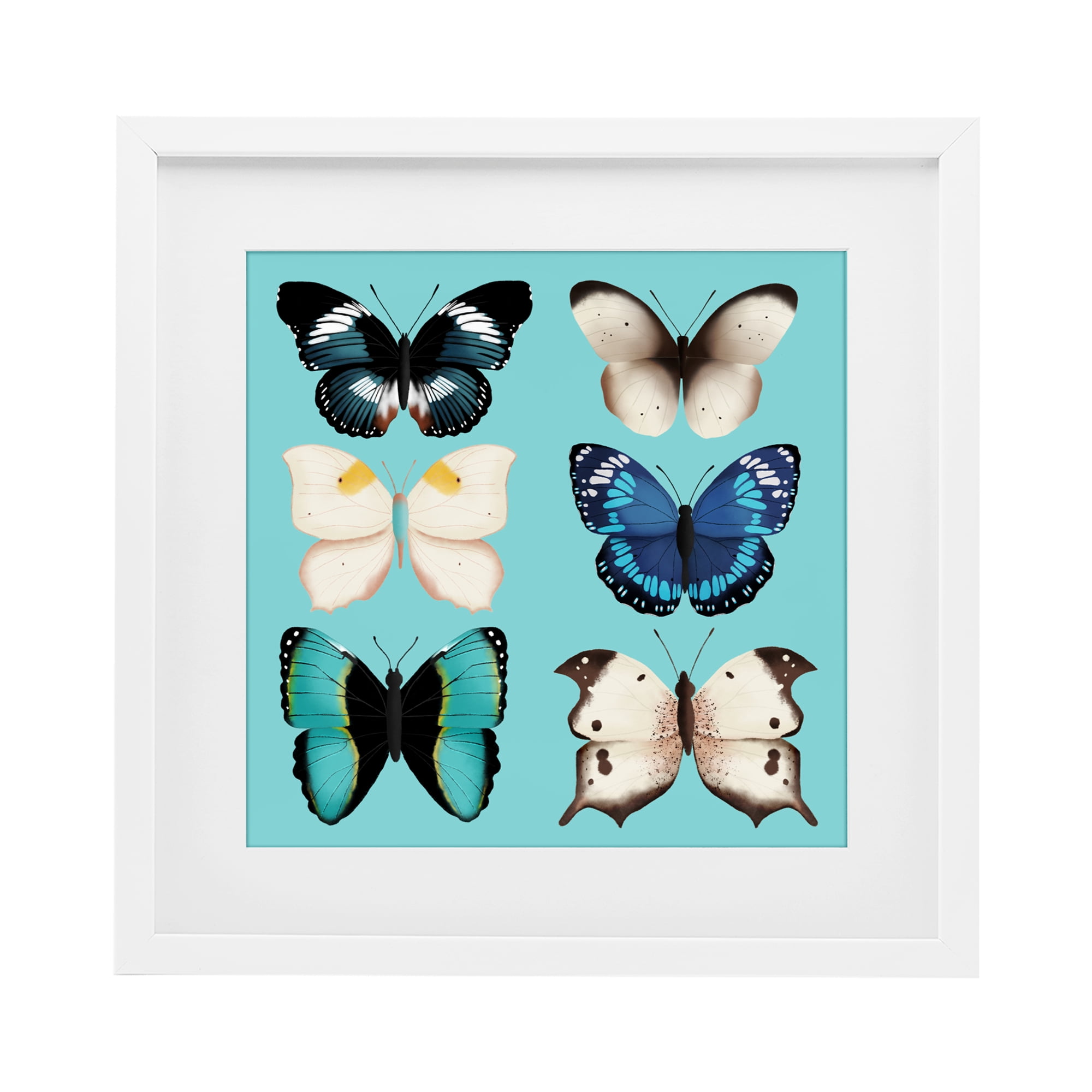 Stupell Industries Six Diverse Butterflies on Turquoise White Framed Print Under Glass, design by Metka Hiti