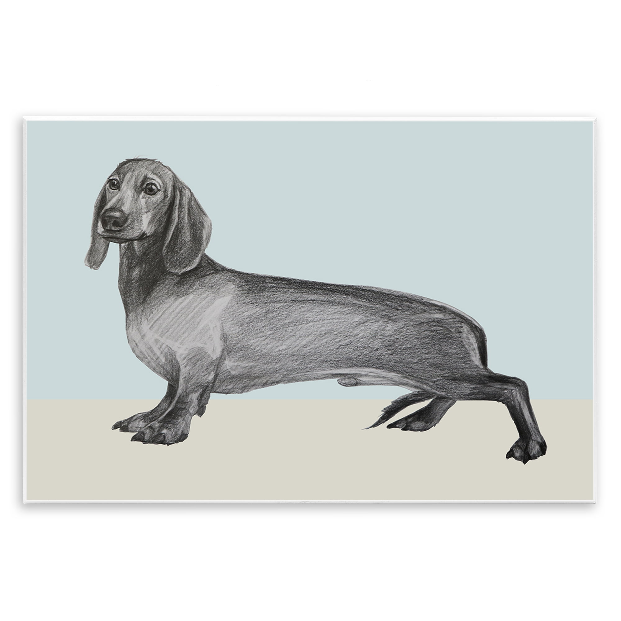 Stupell Industries Sketched Dachshund on Blue Wall Plaque Art, design by Violeta Vollmer