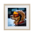 thumbnail image 1 of Stupell Industries Eclectic Ski Goggles Dog Birch Framed Print Under Glass, 16 x 16, by Sean Parnell, 1 of 8