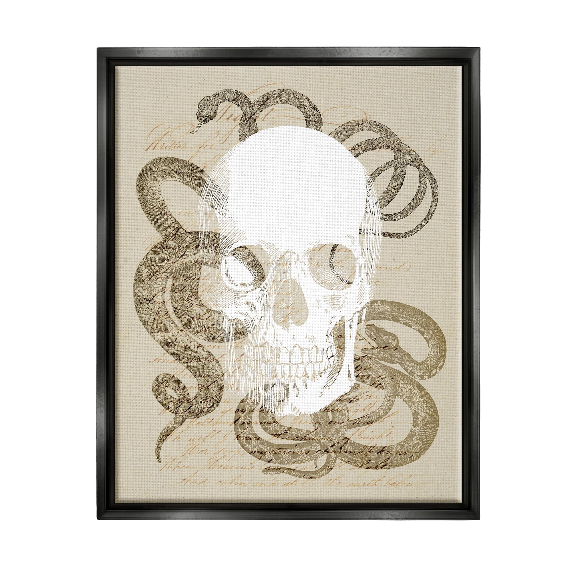 Stupell Industries Skull & Snake Vintage Script Animals & Insects Painting Black Floater Framed Canvas Art Print Wall Art, 25 x 31
