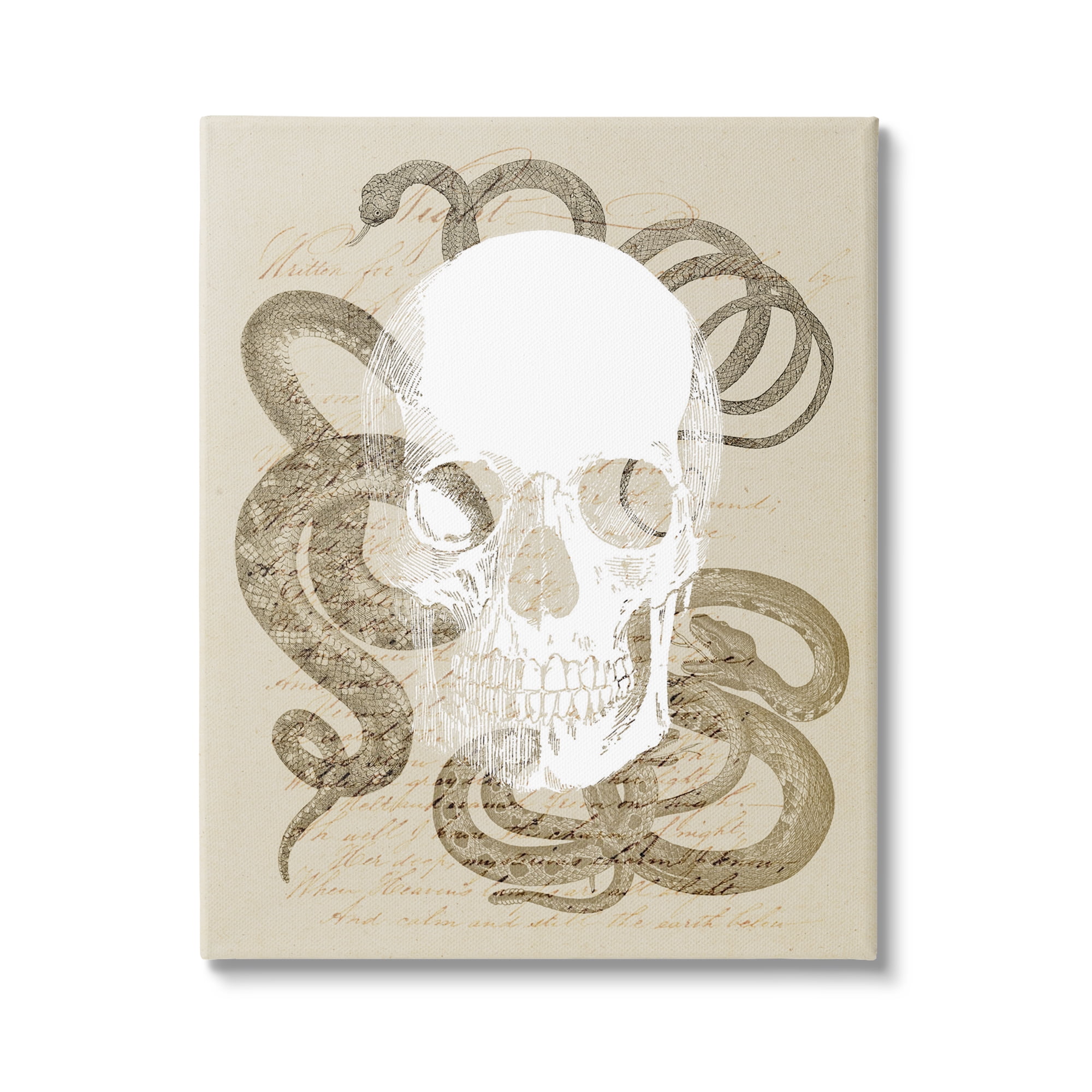 Stupell Industries Skull & Snake Vintage Script Animals & Insects Painting Gallery Wrapped Canvas Art Print Wall Art, 36 x 48
