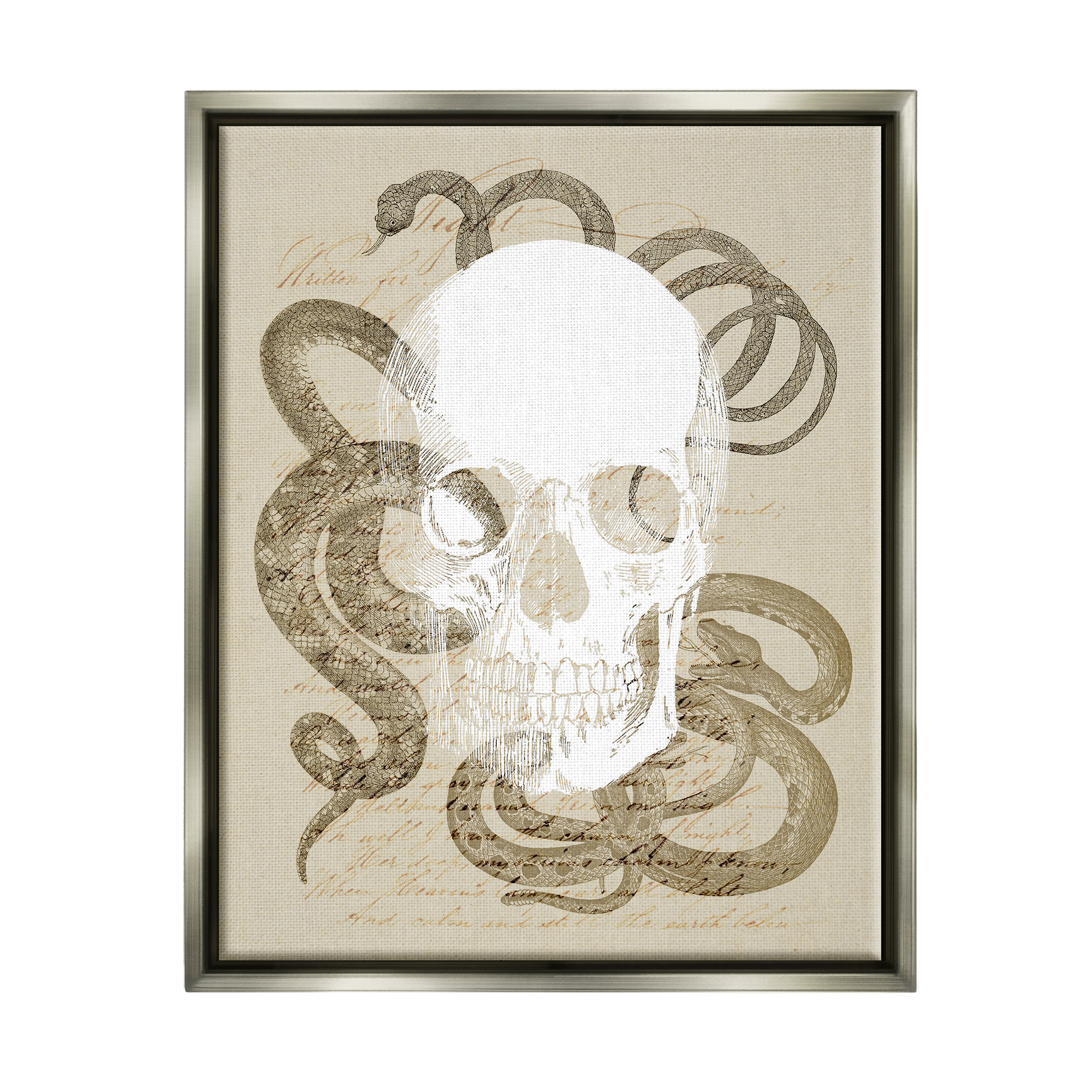 Stupell Industries Skull & Snake Vintage Script Animals & Insects Painting Gray Floater Framed Canvas Art Print Wall Art, 17 x 21