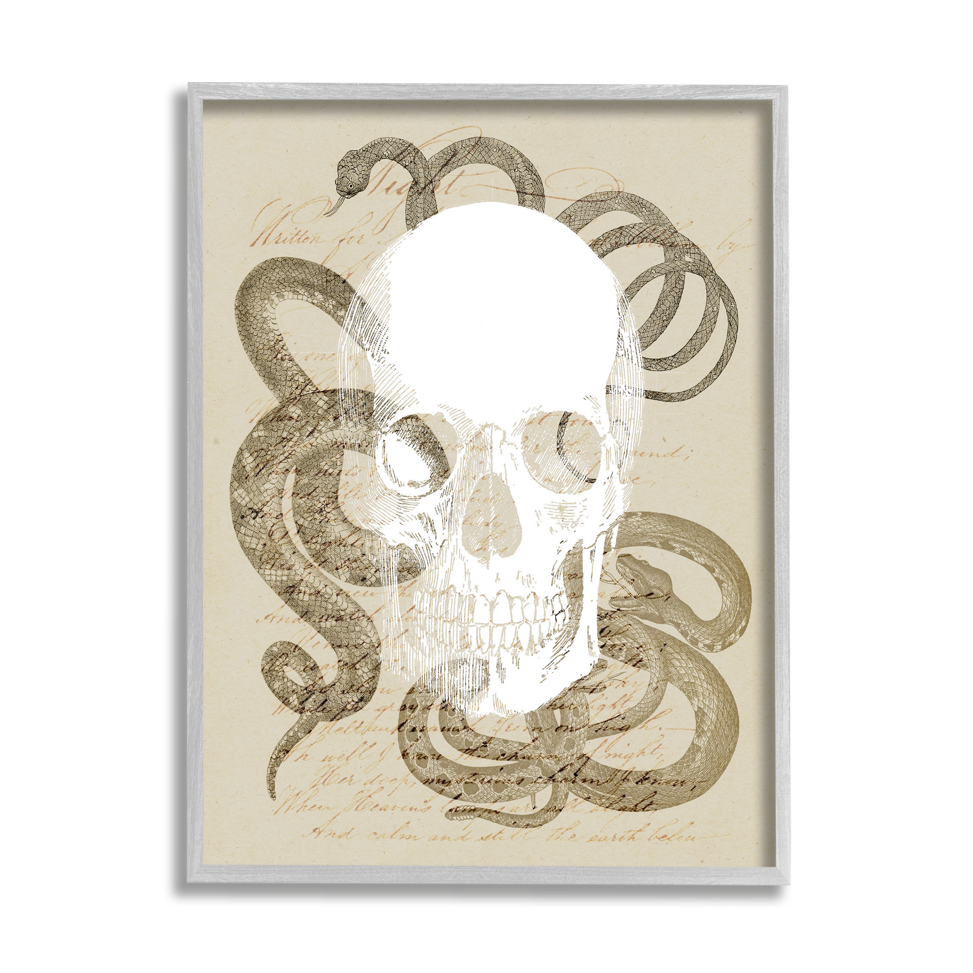 Stupell Industries Skull & Snake Vintage Script Animals & Insects Painting Gray Framed Art Print Wall Art, 24 x 30
