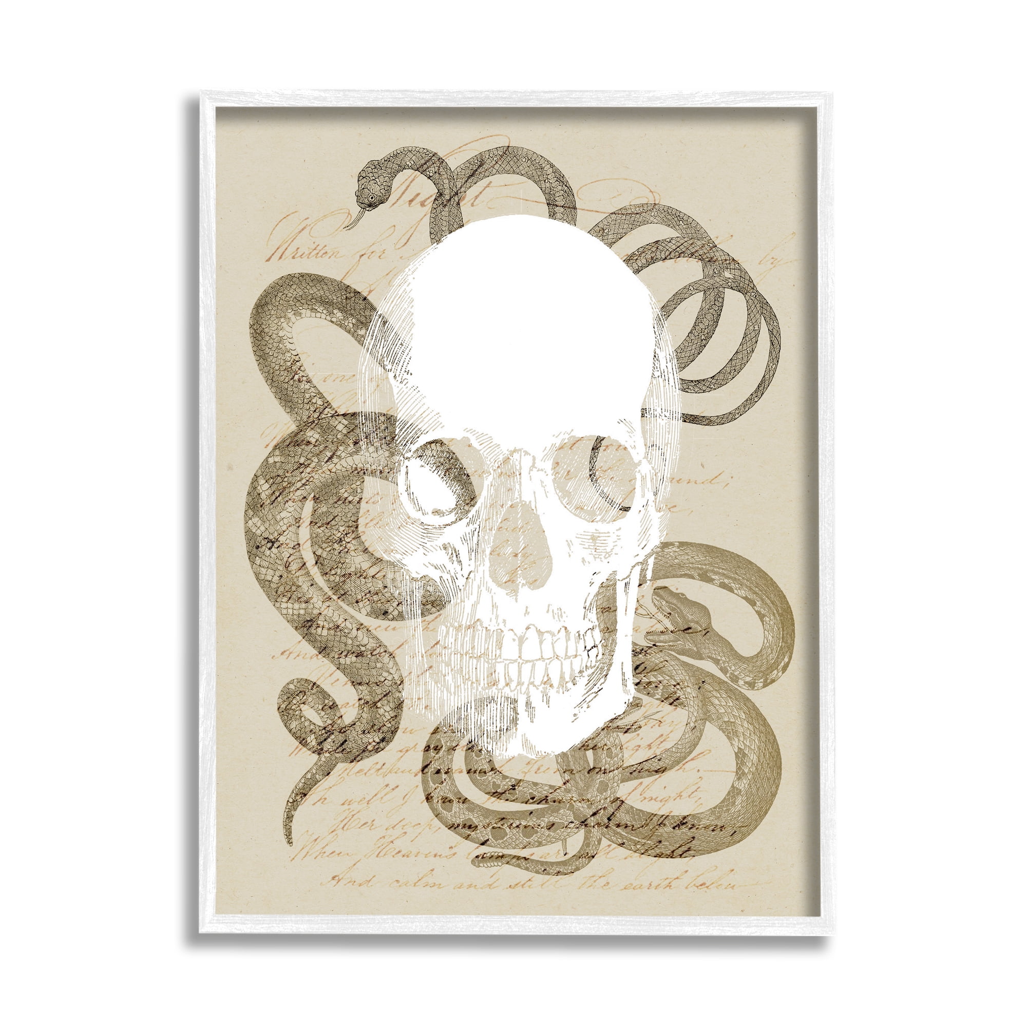 Stupell Industries Skull & Snake Vintage Script Animals & Insects Painting White Framed Art Print Wall Art, 11 x 14