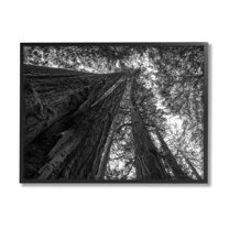 Stupell Industries Sky High Tree Looming Photograph Black Framed Art Print Wall Art, Design by Aaron Matheson
