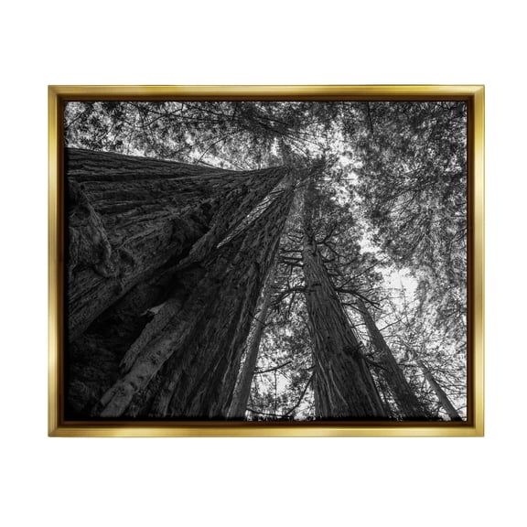 Stupell Industries Sky High Tree Looming Photograph Metallic Gold Floating Framed Canvas Print Wall Art, Design by Aaron Matheson
