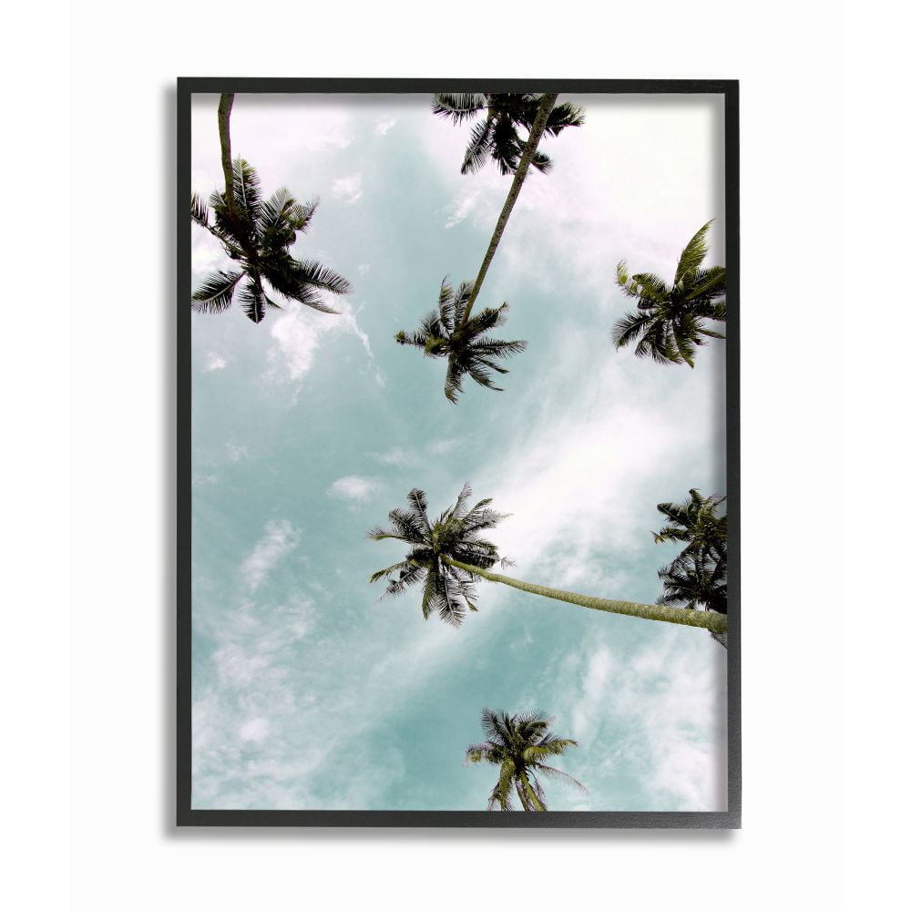 Stupell Industries Sky Through Palm Trees Tropical Summer Photograph Designed by Kim Allen