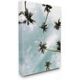 thumbnail image 1 of Stupell Industries Sky Through Palm Trees Tropical Summer Photograph Gallery-Wrapped Canvas Print Wall Art, 36x48, by Kim Allen, 1 of 6
