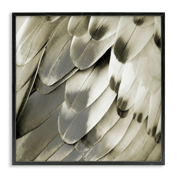 Stupell Industries Sleek Feathers Close Up Animals Painting Black Framed Art Print Wall Art, 12 x 12