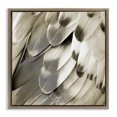 thumbnail image 1 of Stupell Industries Modern Sleek Feathers Close Up Brown Floating Frame Canvas Art, 18 x 18, by Julia Bosco, 1 of 8