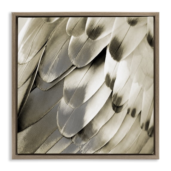 Stupell Industries Modern Sleek Feathers Close Up Brown Floating Frame Canvas Art, 18 x 18, by Julia Bosco