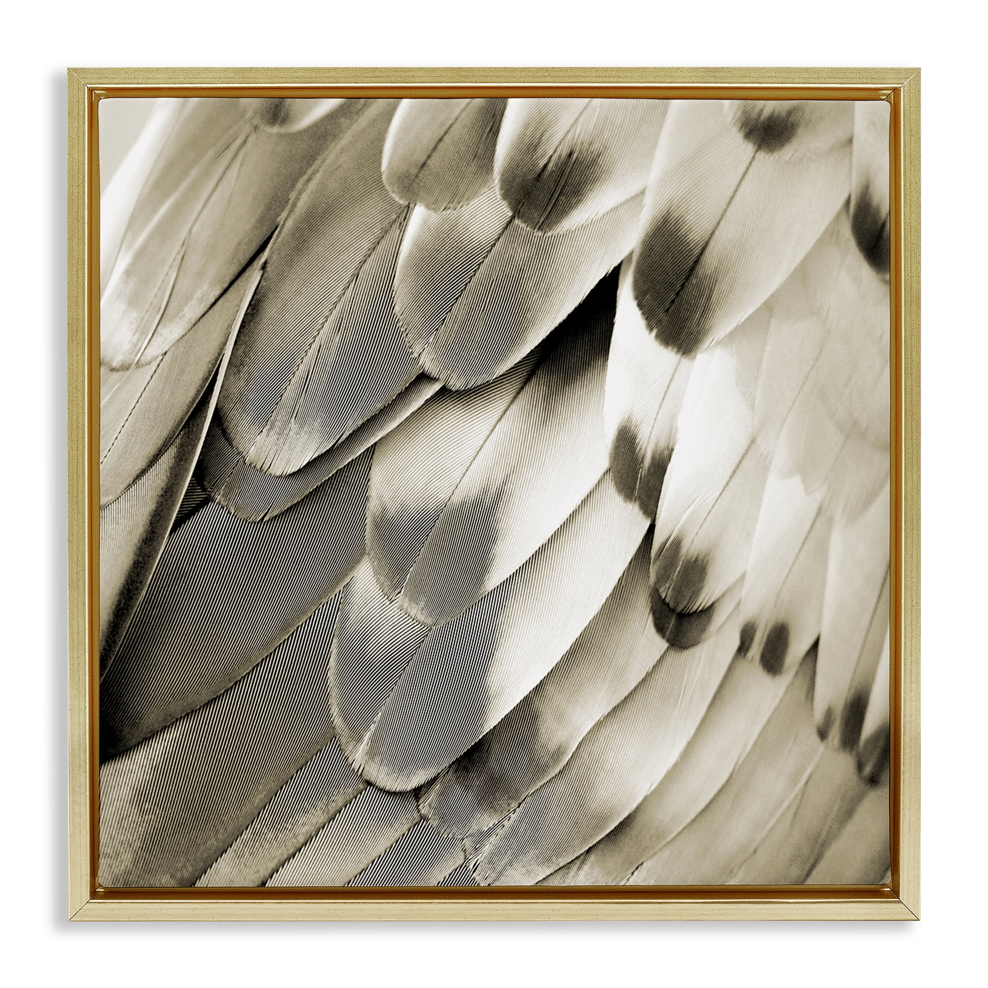 Stupell Industries Sleek Feathers Close Up Animals Painting Gold Floater Framed Canvas Art Print Wall Art, 25 x 25