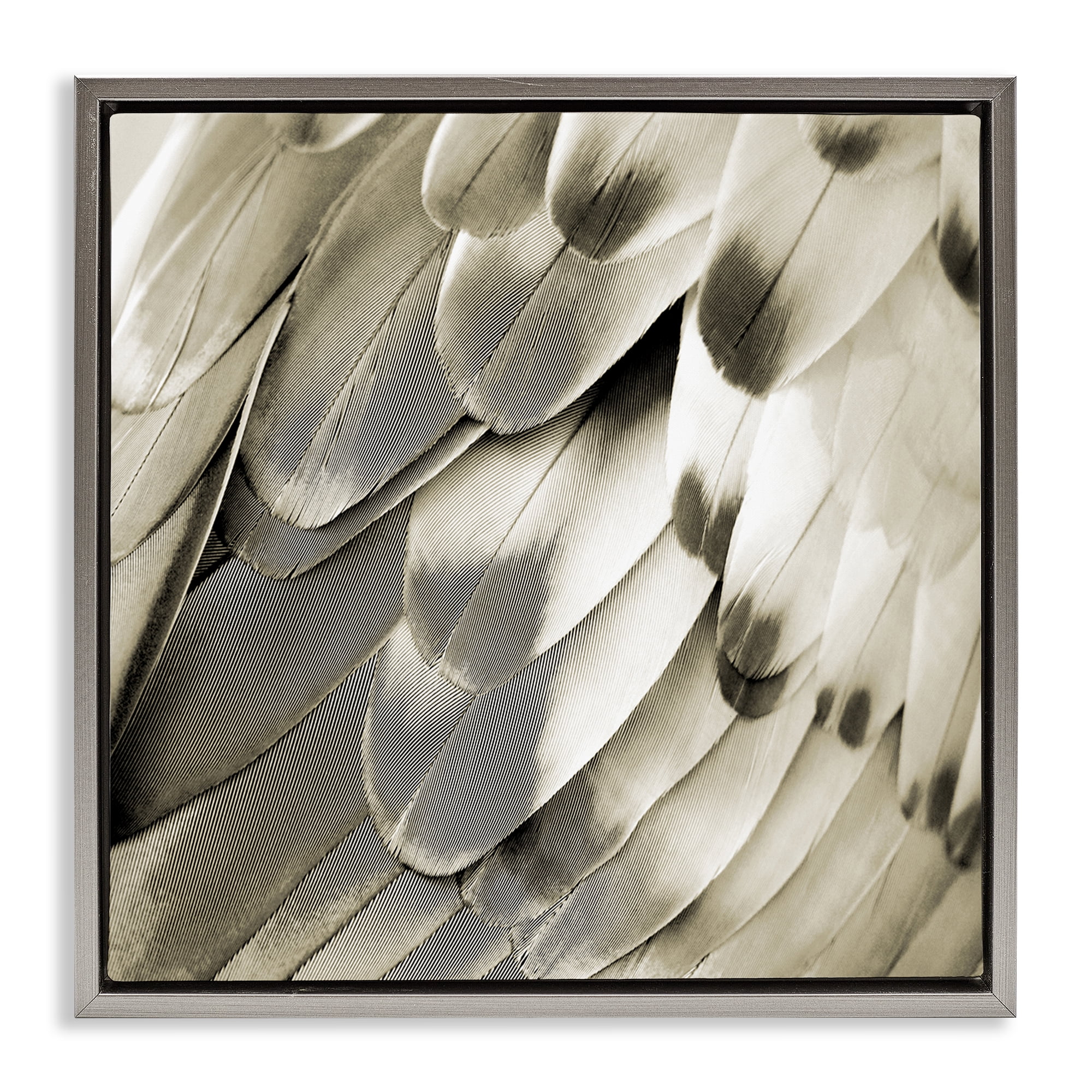Stupell Industries Sleek Feathers Close Up Animals Painting Gray Floater Framed Canvas Art Print Wall Art, 18 x 18