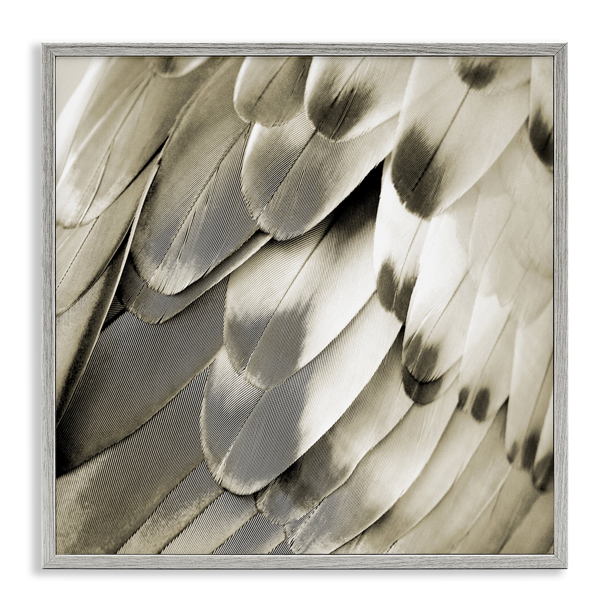 Stupell Industries Sleek Feathers Close Up Animals Painting Gray Framed Art Print Wall Art, 17 x 17