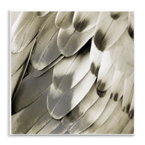 Stupell Industries Sleek Feathers Close Up Animals Painting Unframed Art Print Wall Art, 12 x 12