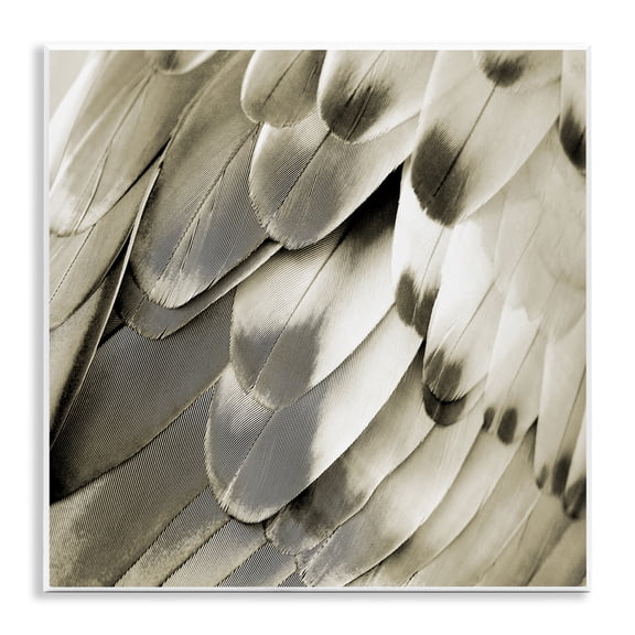 Stupell Industries Sleek Feathers Close Up Animals Painting Unframed Art Print Wall Art, 12 x 12