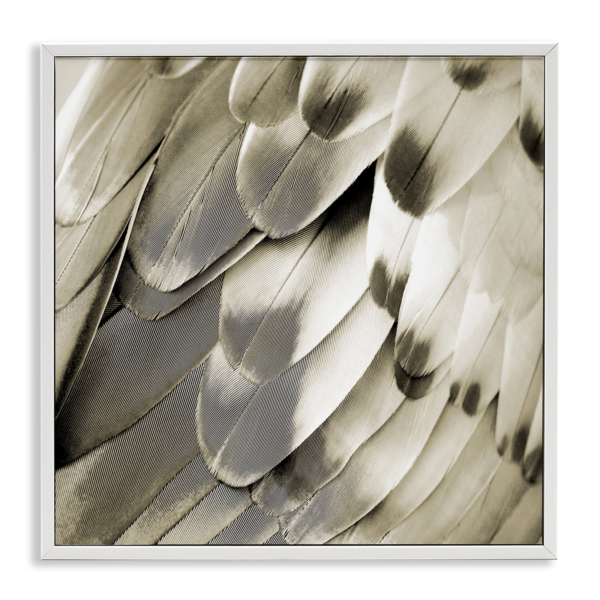Stupell Industries Sleek Feathers Close Up Animals Painting White Framed Art Print Wall Art, 24 x 24
