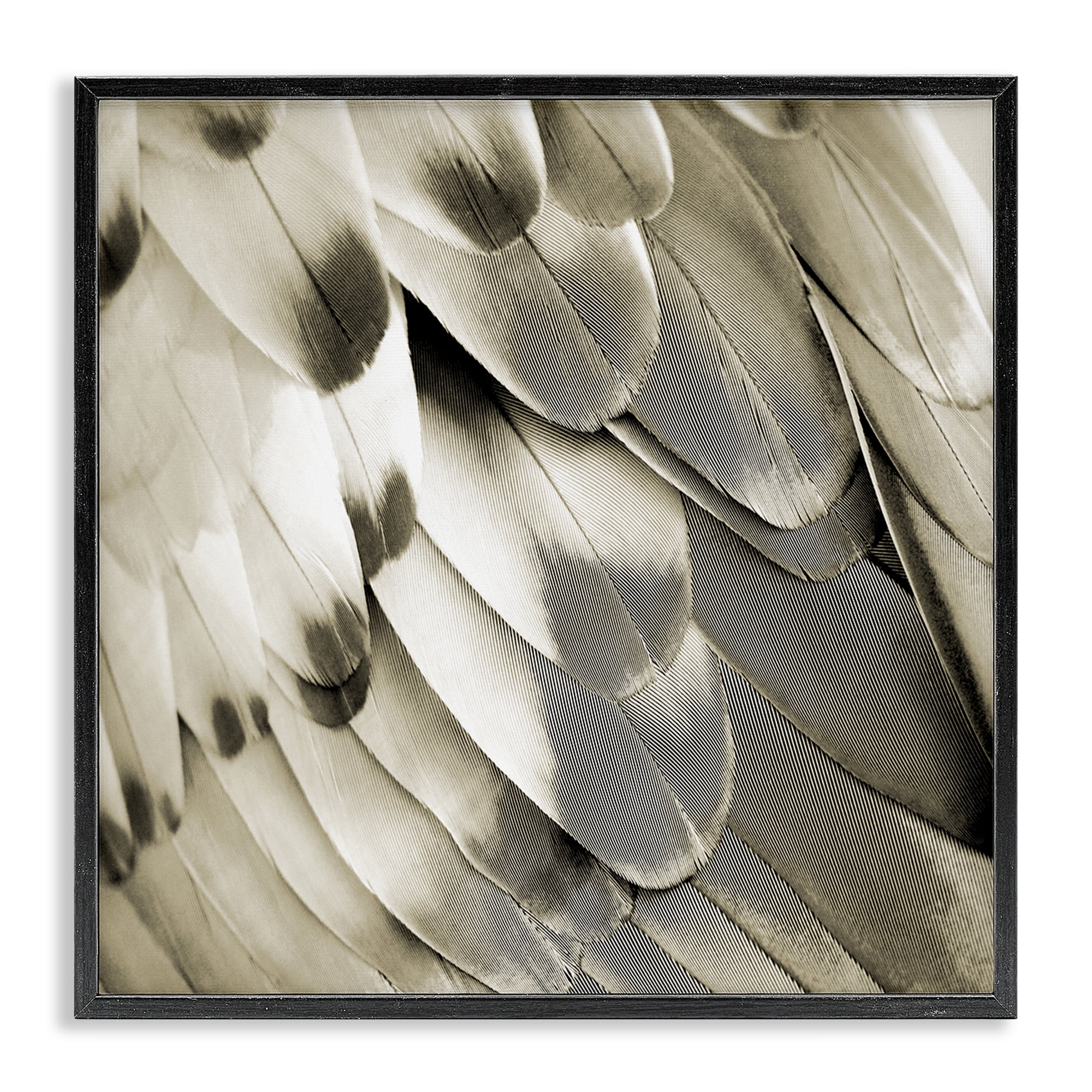 Stupell Industries Sleek Wing Feathers Animals Painting Black Framed Art Print Wall Art, 17 x 17