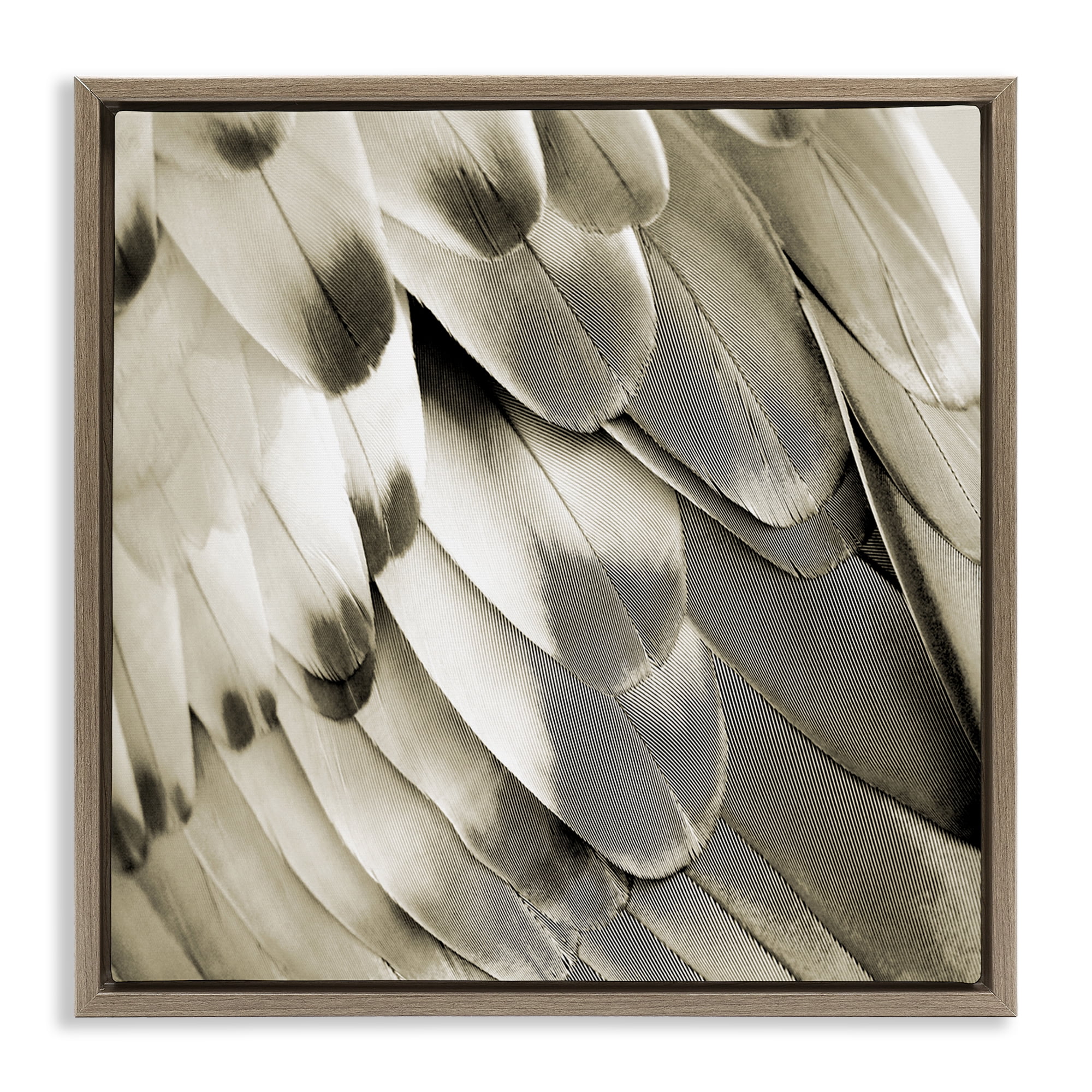 Stupell Industries Sleek Wing Feathers Animals Painting Brown Floater Framed Canvas Art Print Wall Art, 25 x 25