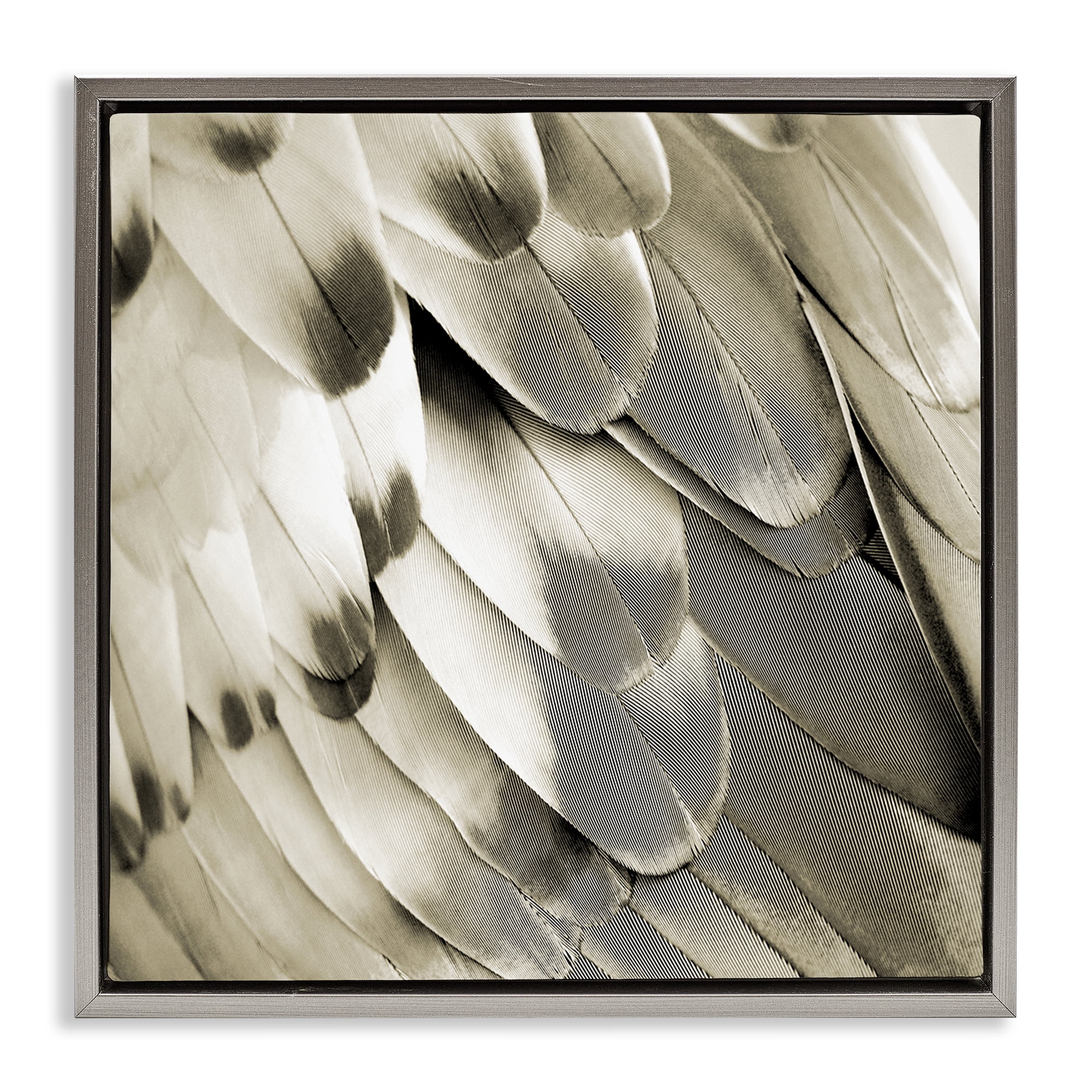 Stupell Industries Sleek Wing Feathers Animals Painting Gray Floater Framed Canvas Art Print Wall Art, 25 x 25