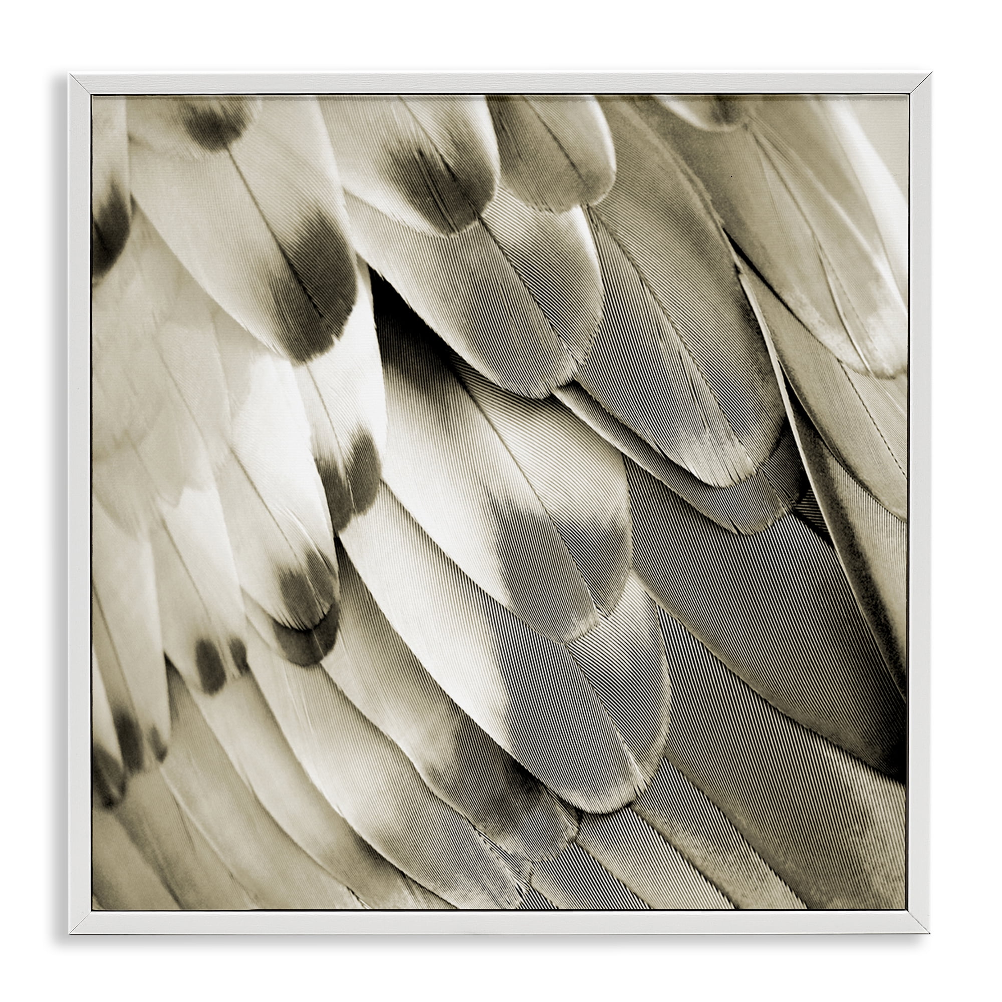 Stupell Industries Sleek Wing Feathers Animals Painting White Framed Art Print Wall Art, 24 x 24
