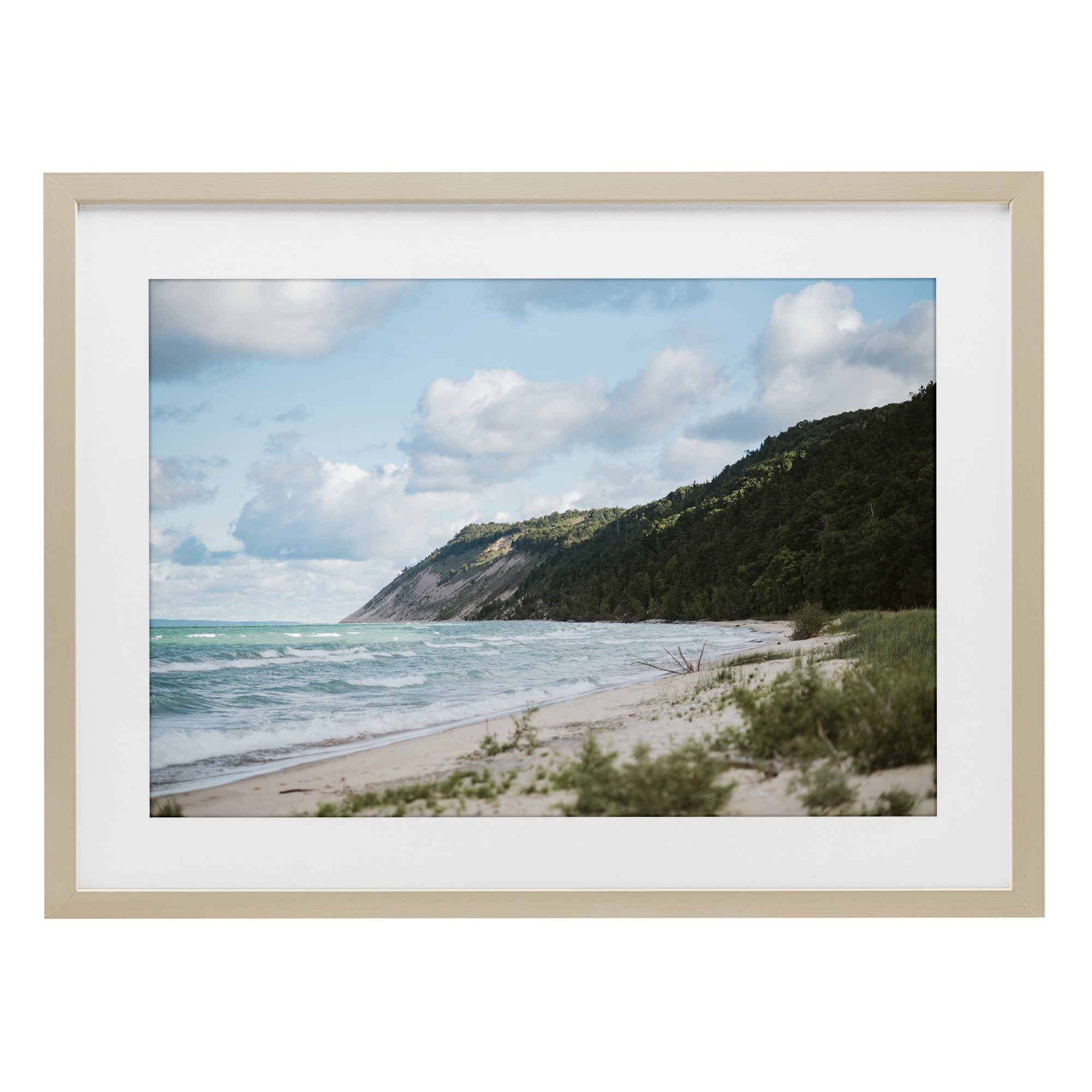 Stupell Industries Sleeping Bear Cliff Birch Framed Print Under Glass, design by Amy Carroll