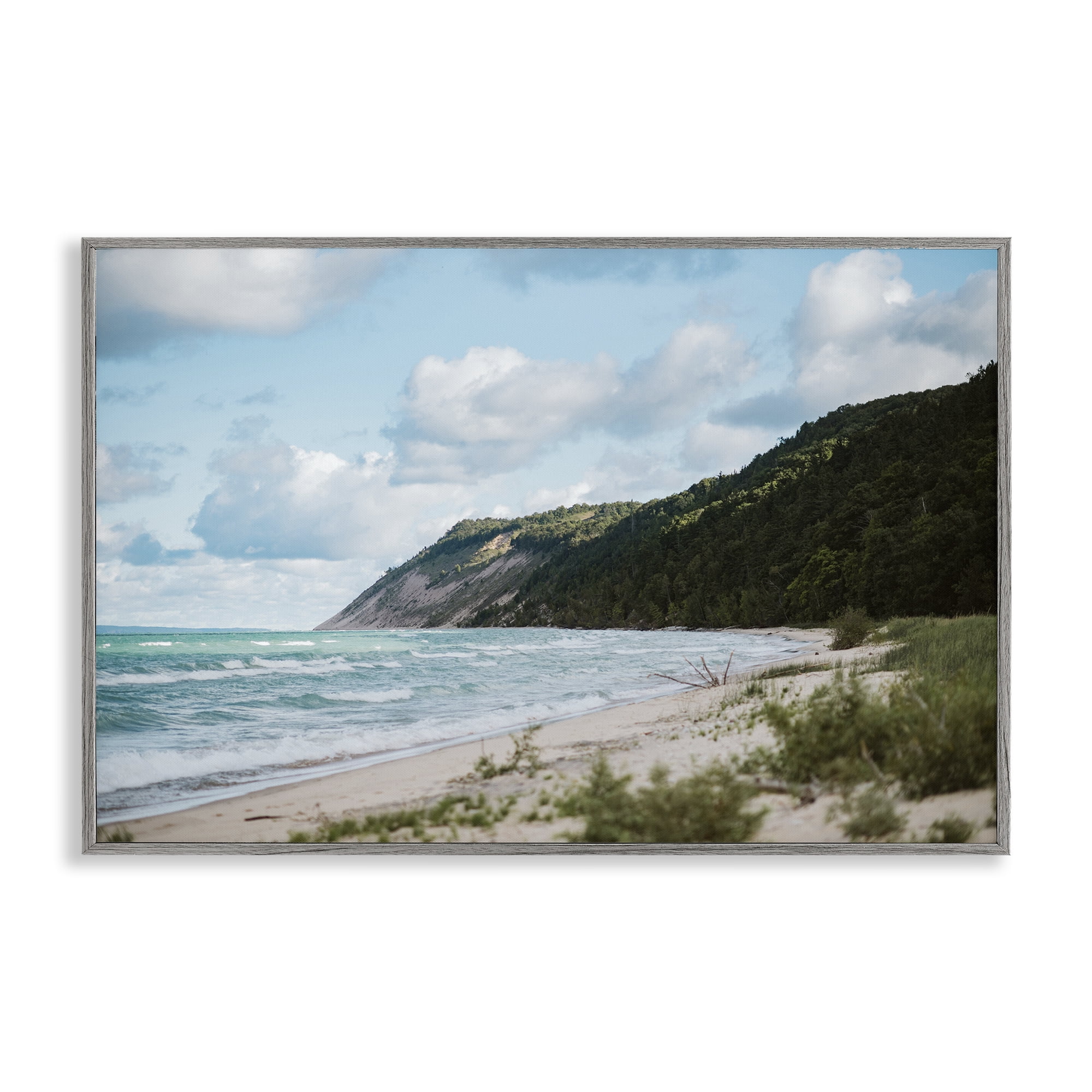 Stupell Industries Sleeping Bear Cliff Gray Framed Giclee Art, design by Amy Carroll