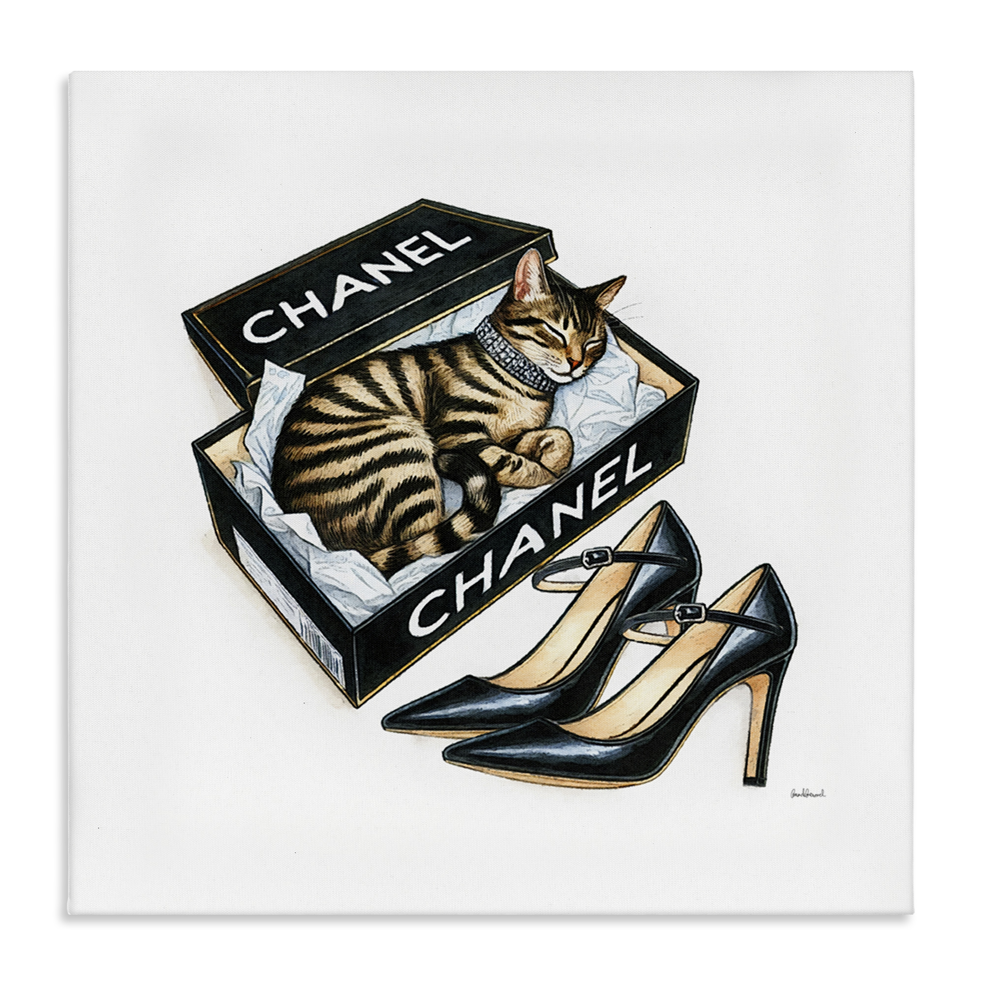 Stupell Industries Sleeping Cat in Shoe Box Animals Painting Wrapped Canvas Art Print Wall Art, 24 x 24