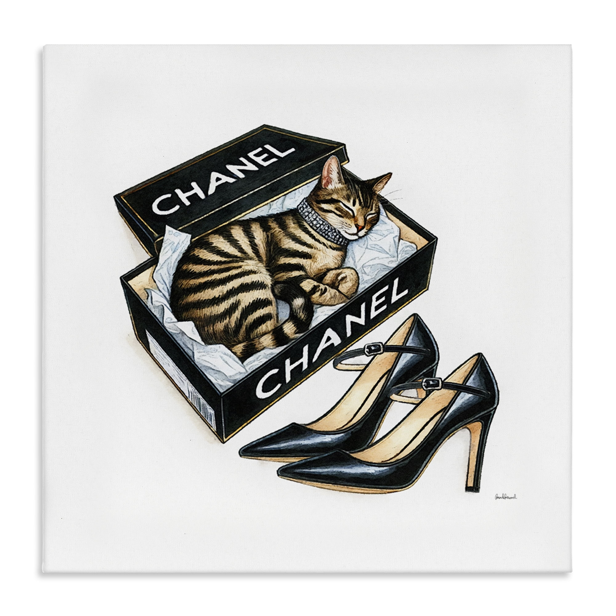 Stupell Industries Sleeping Cat in Shoe Box Animals Painting Wrapped Canvas Art Print Wall Art, 36 x 36