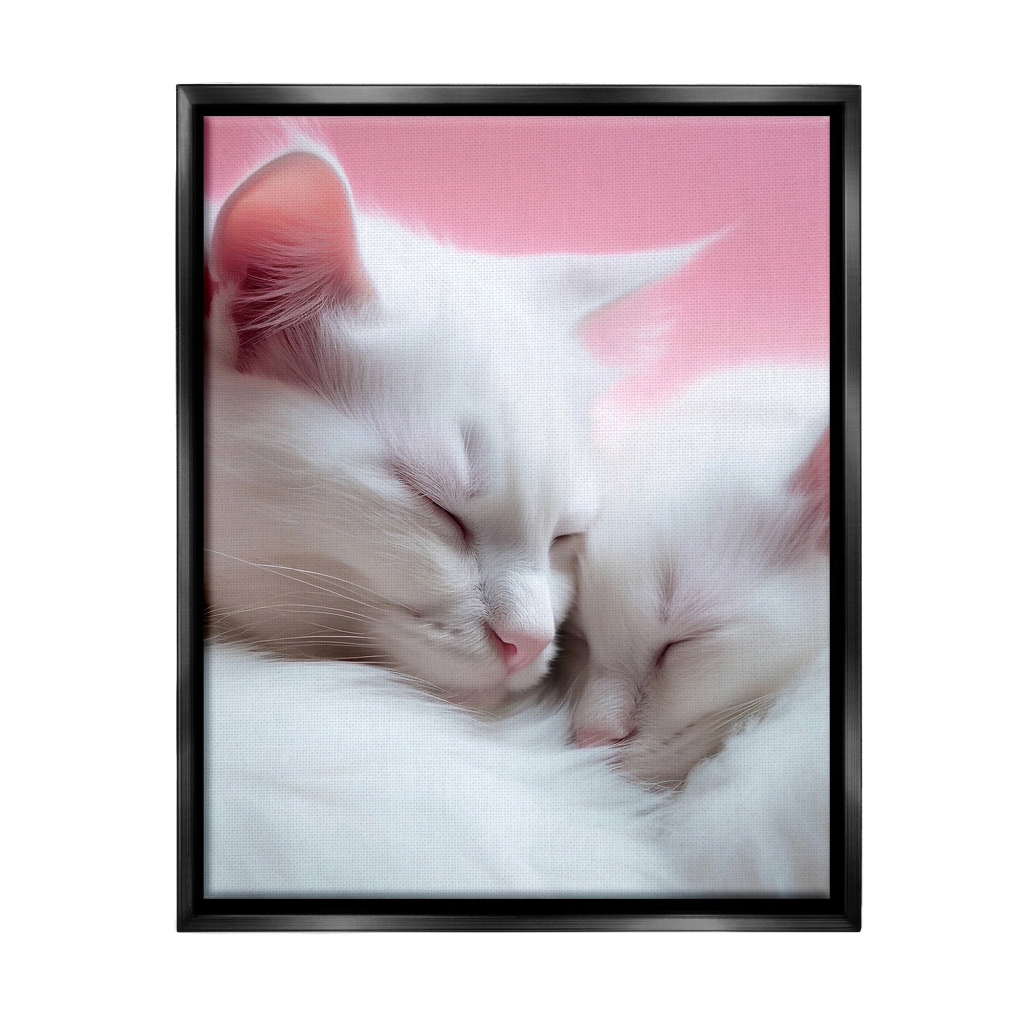 Stupell Industries Sleeping Cats on Pink Animals & Insects Painting Black Floater Framed Canvas Art Print Wall Art, 17 x 21
