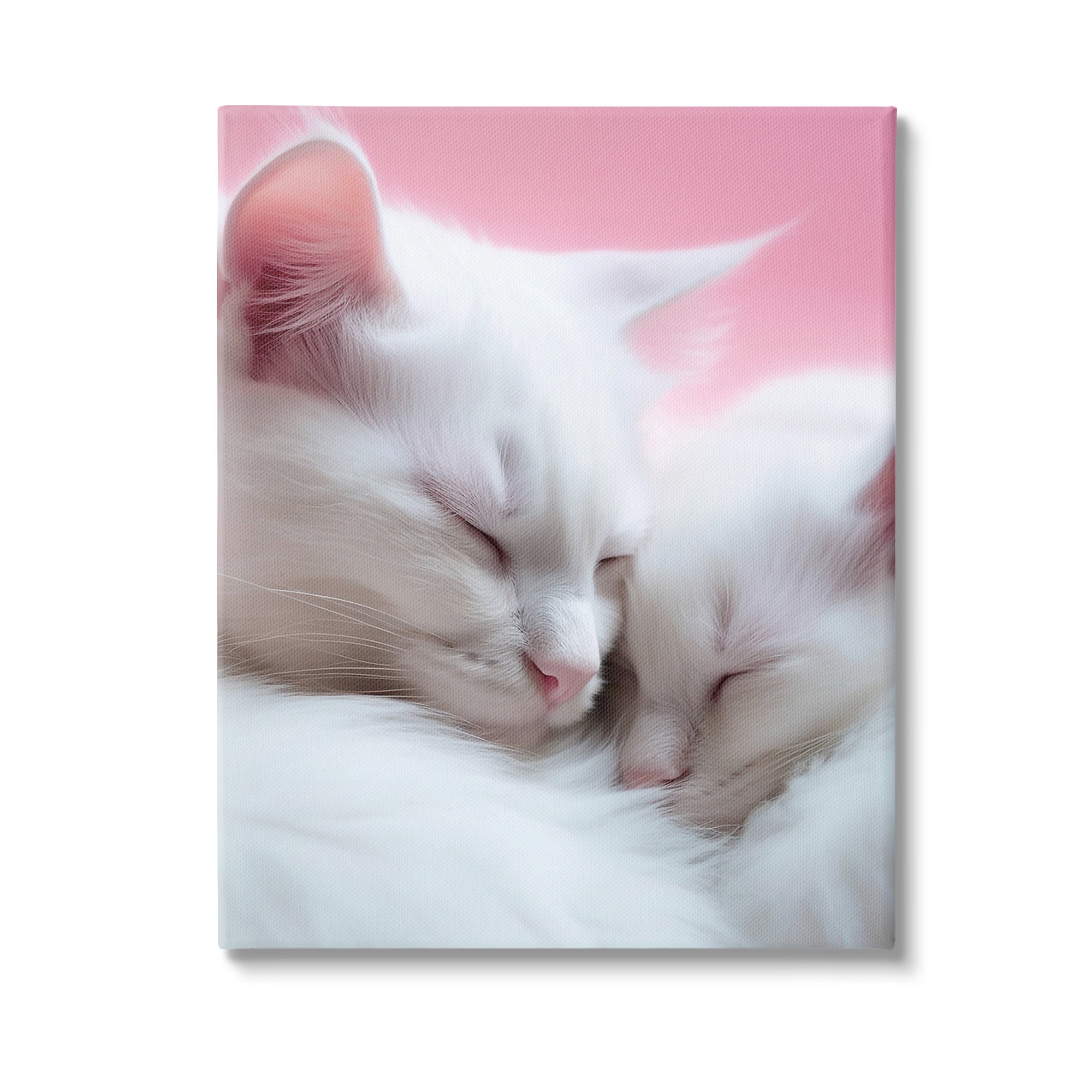 Stupell Industries Sleeping Cats on Pink Animals & Insects Painting Gallery Wrapped Canvas Art Print Wall Art, 16 x 20