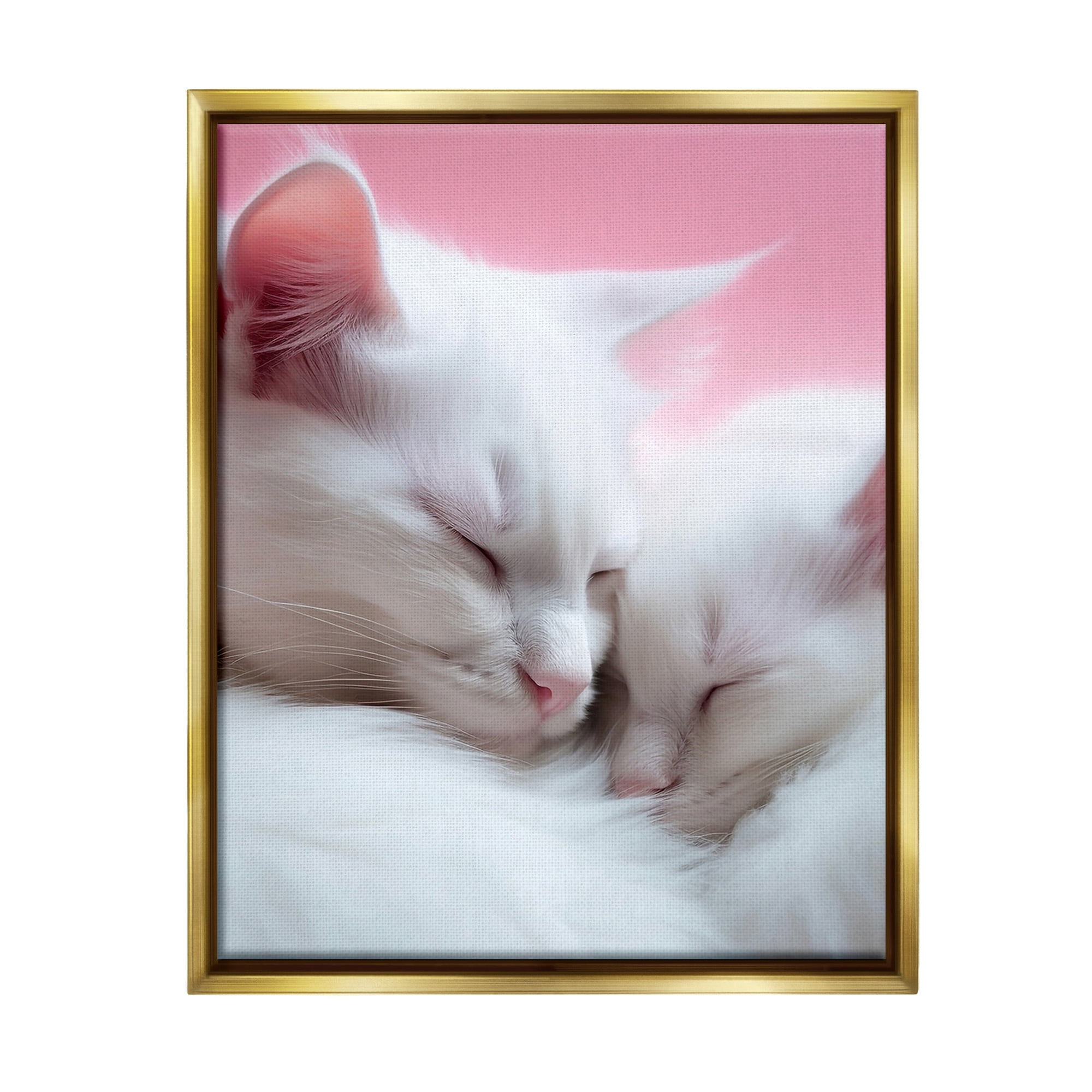Stupell Industries Sleeping Cats on Pink Animals & Insects Painting Gold Floater Framed Canvas Art Print Wall Art, 17 x 21