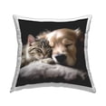 thumbnail image 1 of Stupell Industries Sleeping Dog & Cat Decorative Printed Throw Pillow, 18 x 18, 1 of 5