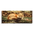 thumbnail image 1 of Stupell Industries Sleeping Fox Kit Peaceful Forest Floor Lush Nature Photograph Gallery Wrapped Canvas Print Wall Art, Design by Carrie Ann Grippo-Pike, 1 of 5