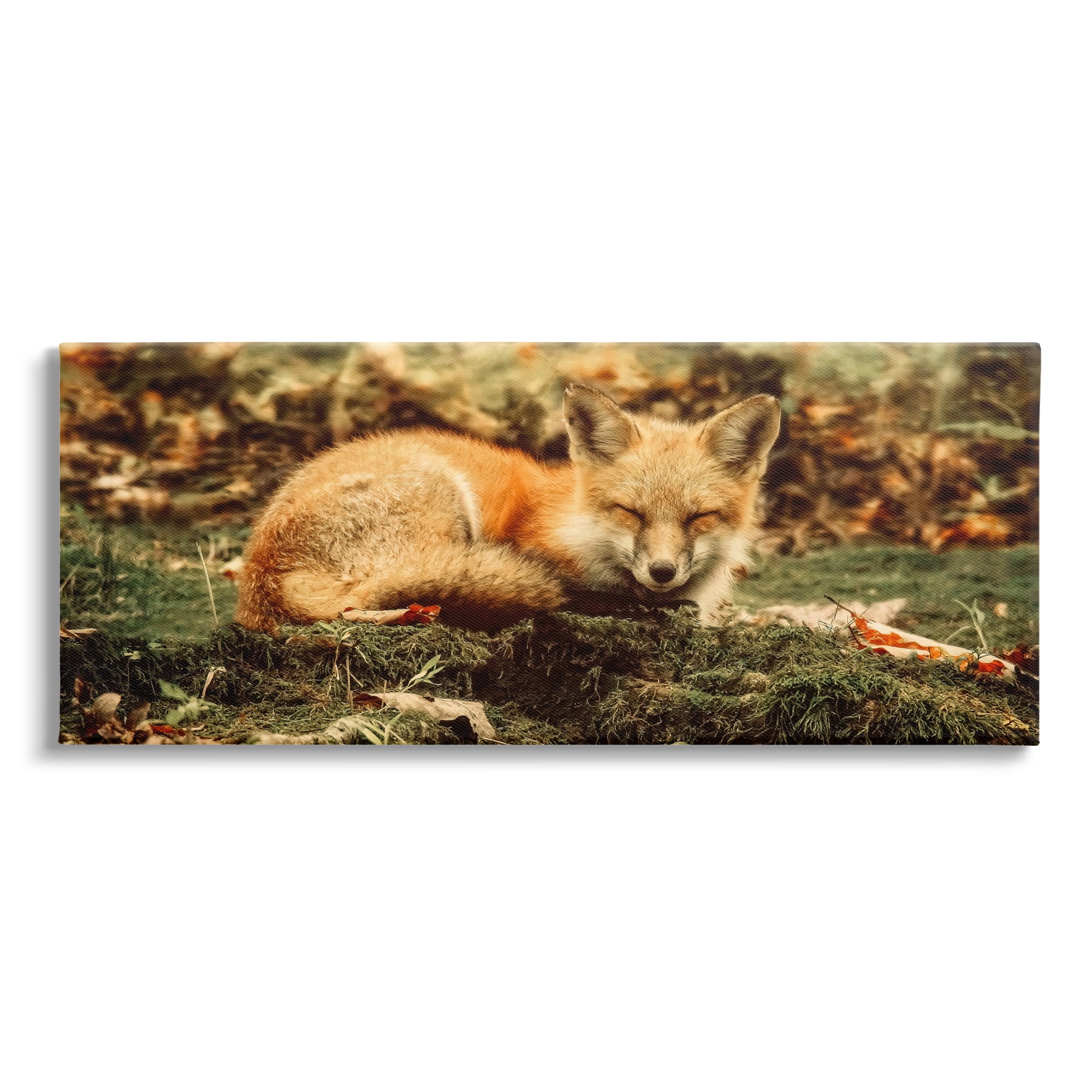 Sleeping Fox in Forest Landscape Canvas Print, 40 x 17