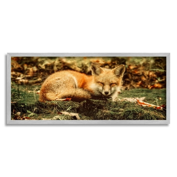 Stupell Industries Sleeping Fox Kit Peaceful Forest Floor Lush Nature Photograph Gray Framed Art Print Wall Art, Design by Carrie Ann Grippo-Pike