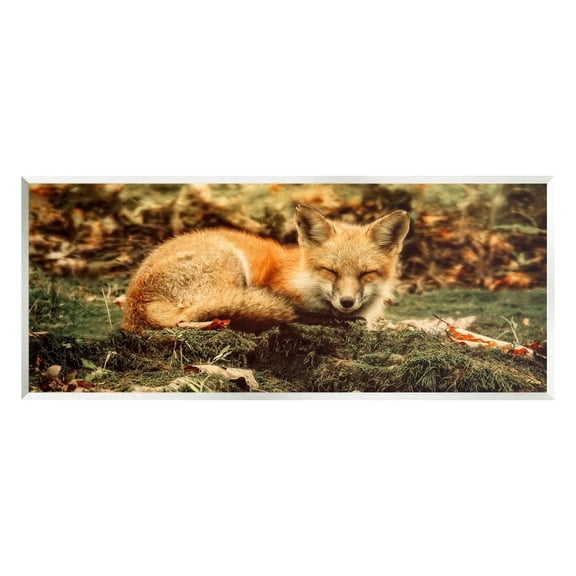 Stupell Industries Sleeping Fox Kit Peaceful Forest Floor Lush Nature Photograph Unframed Art Print Wall Art, Design by Carrie Ann Grippo-Pike