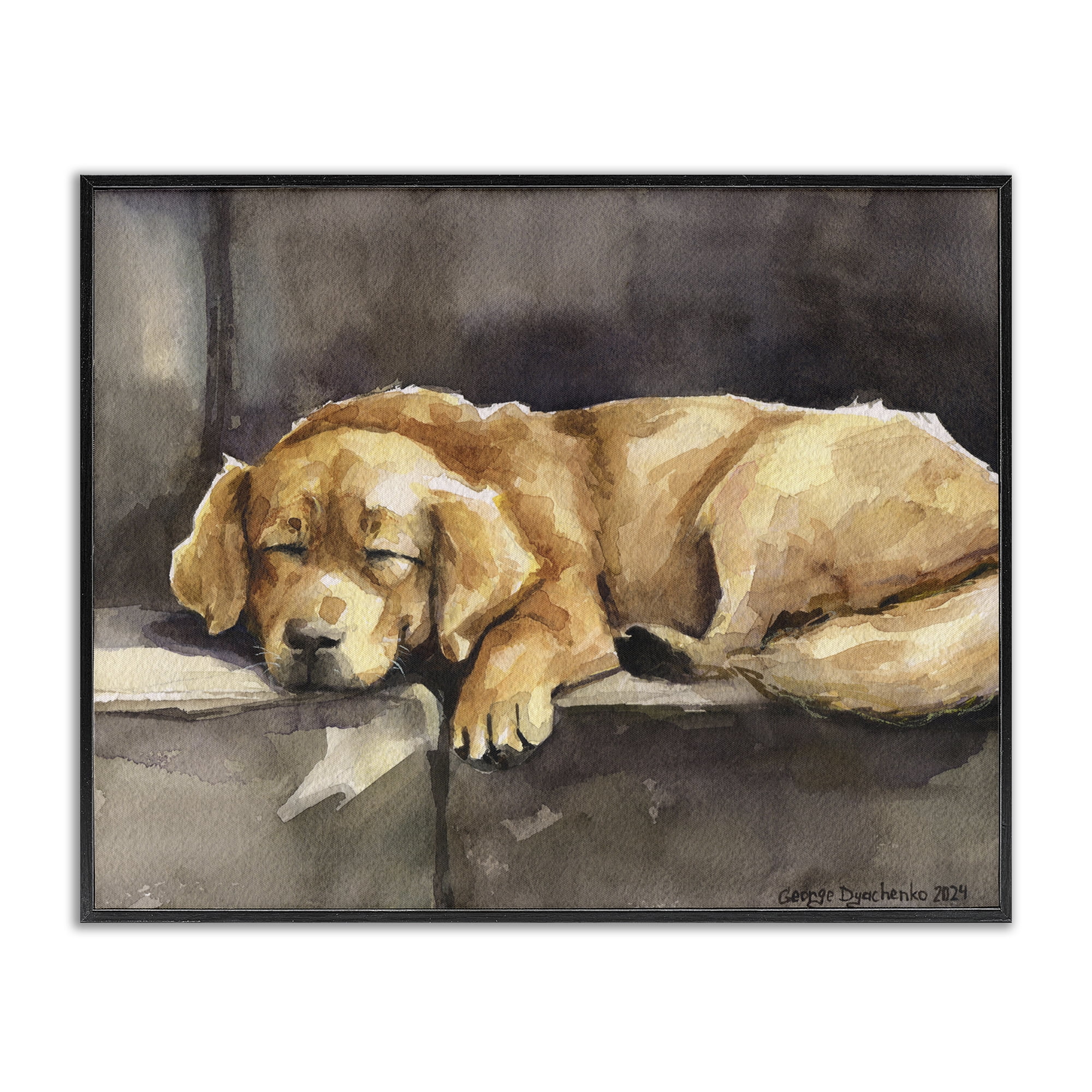Stupell Industries Sleeping Golden Retriever Animals Painting Black Framed Art Print Wall Art, 20 x 16