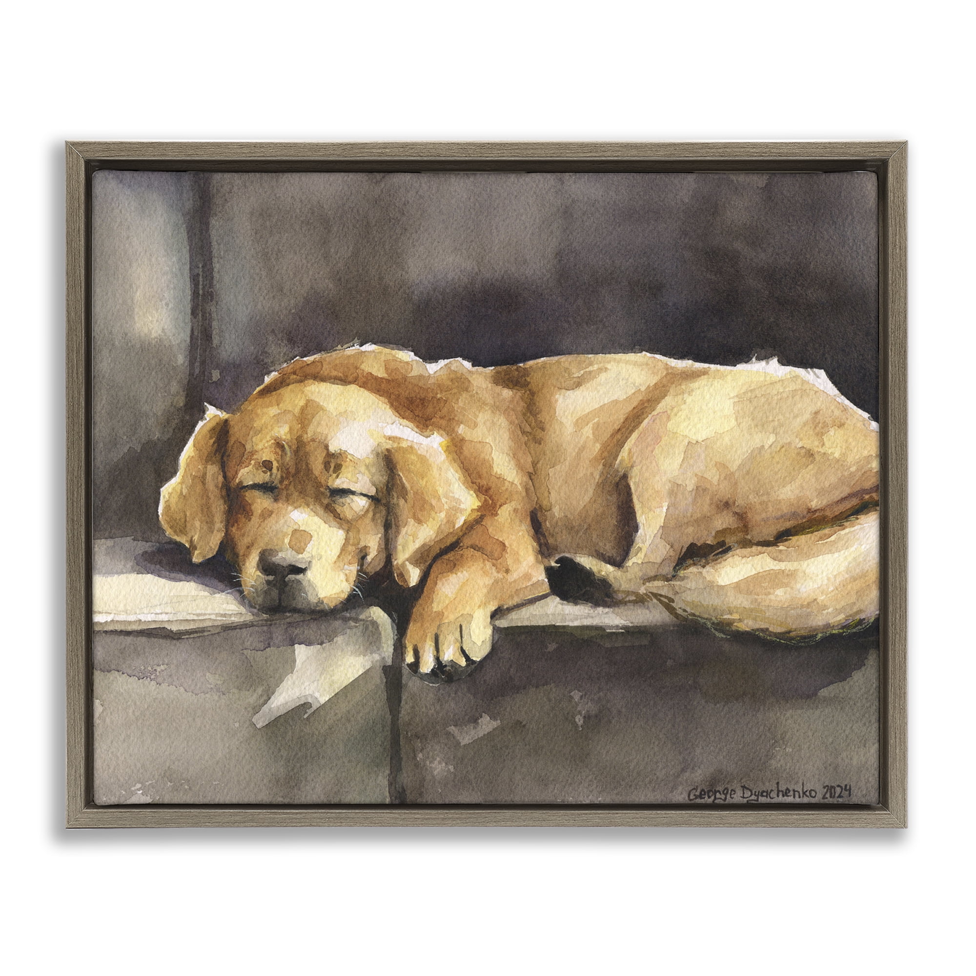 Stupell Industries Sleeping Golden Retriever Animals Painting Brown Floater Framed Canvas Art Print Wall Art, 21 x 17
