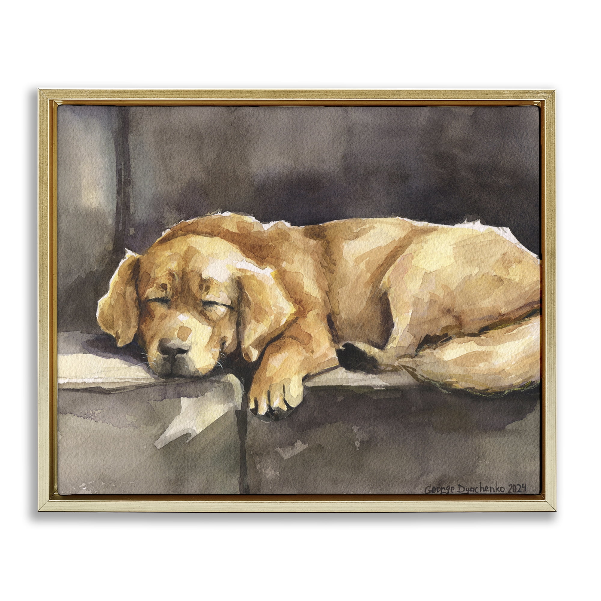 Stupell Industries Sleeping Golden Retriever Animals Painting Gold Floater Framed Canvas Art Print Wall Art, 21 x 17