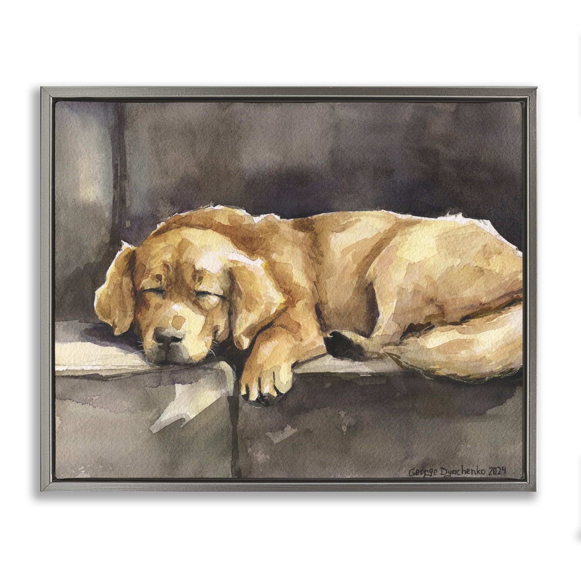 Stupell Industries Sleeping Golden Retriever Animals Painting Gray Floater Framed Canvas Art Print Wall Art, 31 x 25