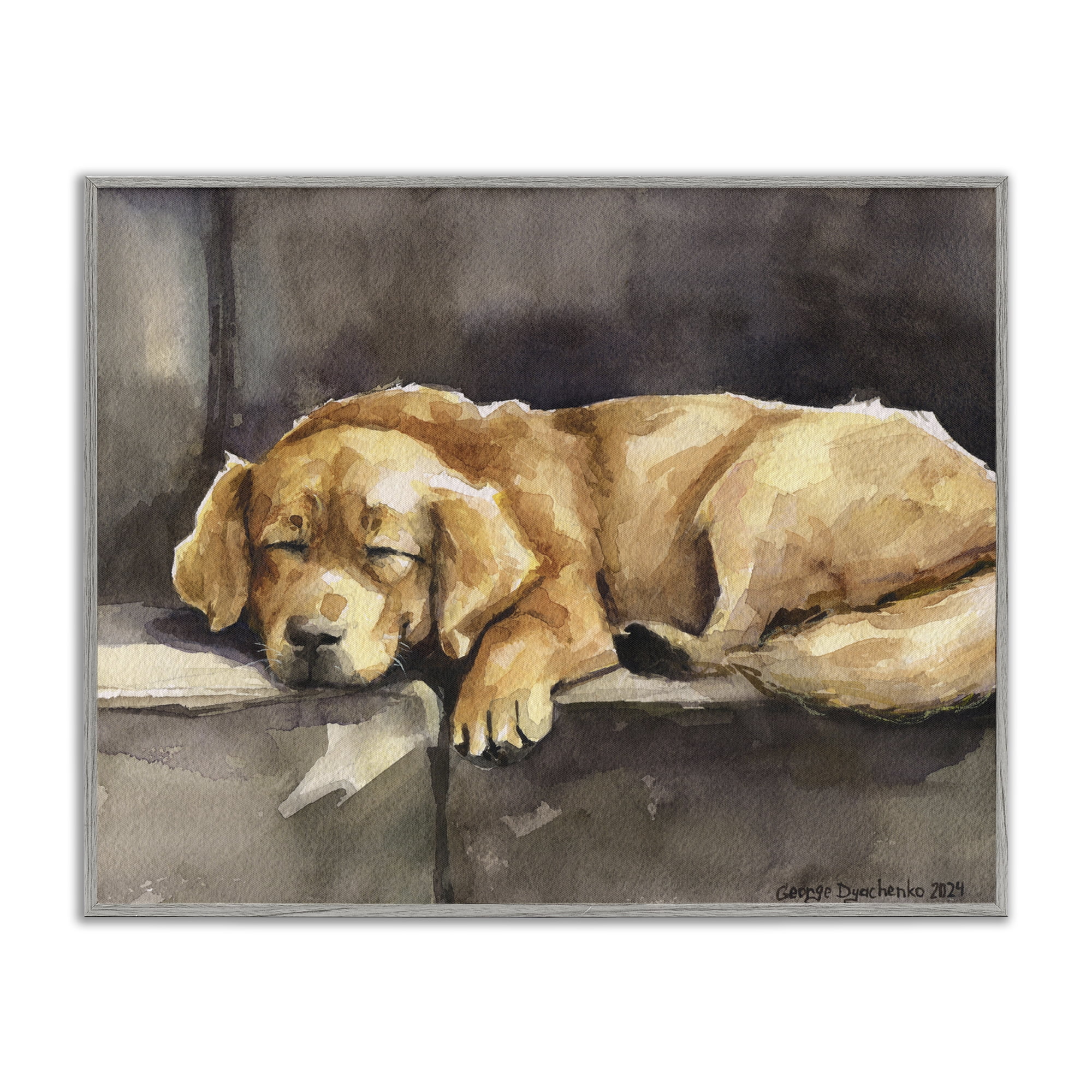 Stupell Industries Sleeping Golden Retriever Animals Painting Gray Framed Art Print Wall Art, 20 x 16
