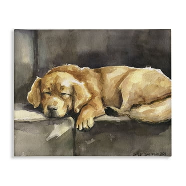 Stupell Industries Sleeping Golden Retriever Animals Painting Wrapped Canvas Art Print Wall Art, 20 x 16