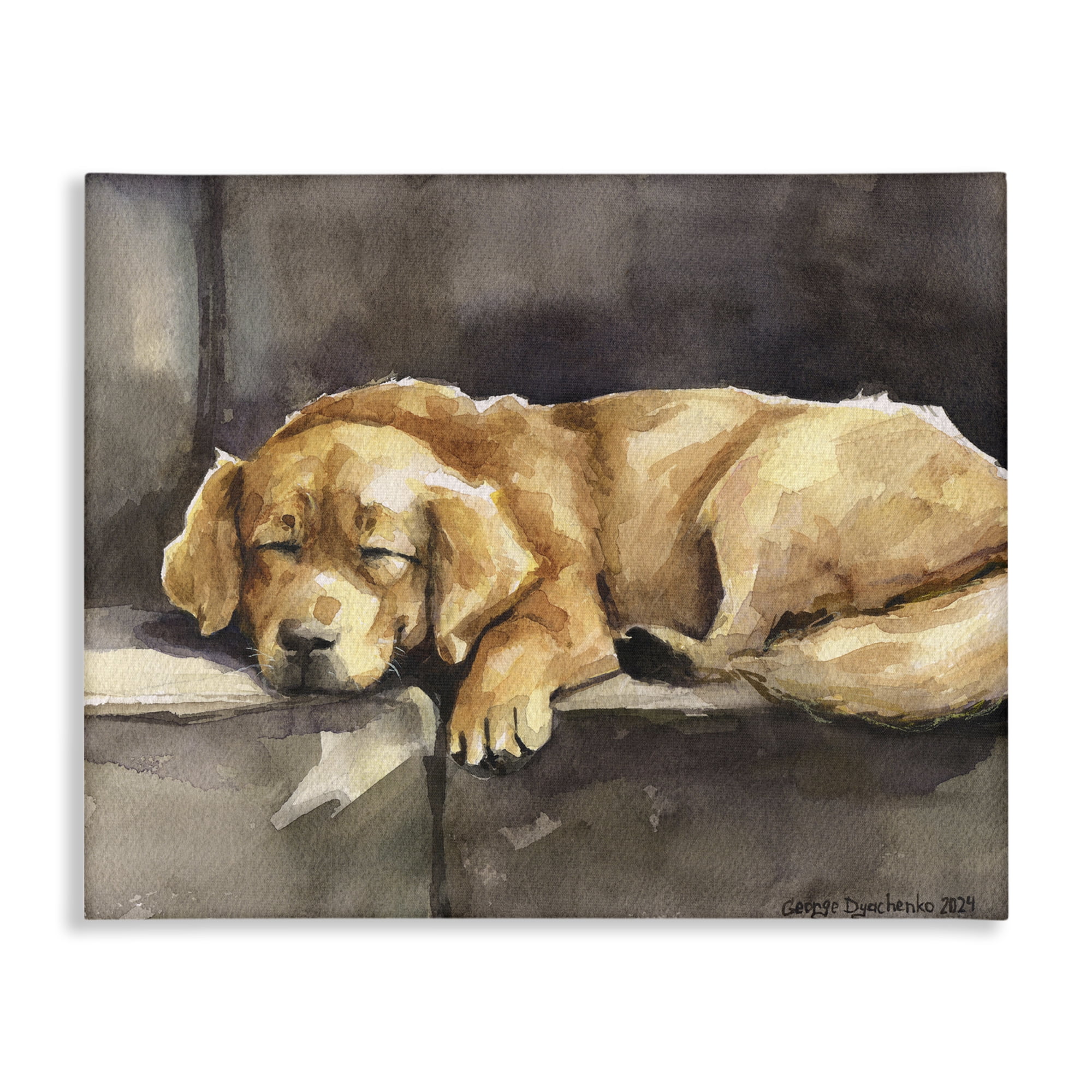 Stupell Industries Sleeping Golden Retriever Animals Painting Wrapped Canvas Art Print Wall Art, 48 x 36