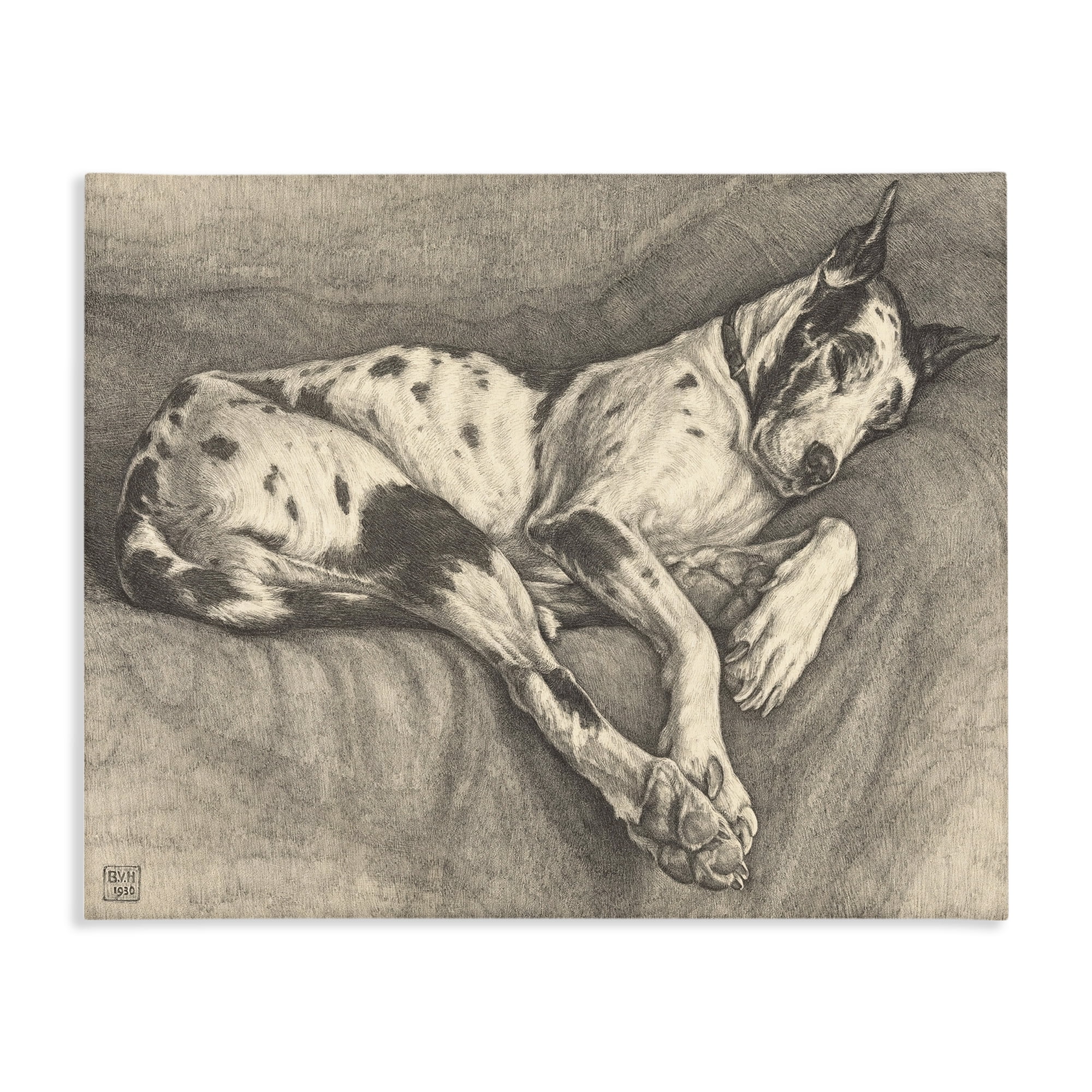 Stupell Industries Sleeping Hound Drawing Canvas Wall Art, design by Bertha Van Hasselt