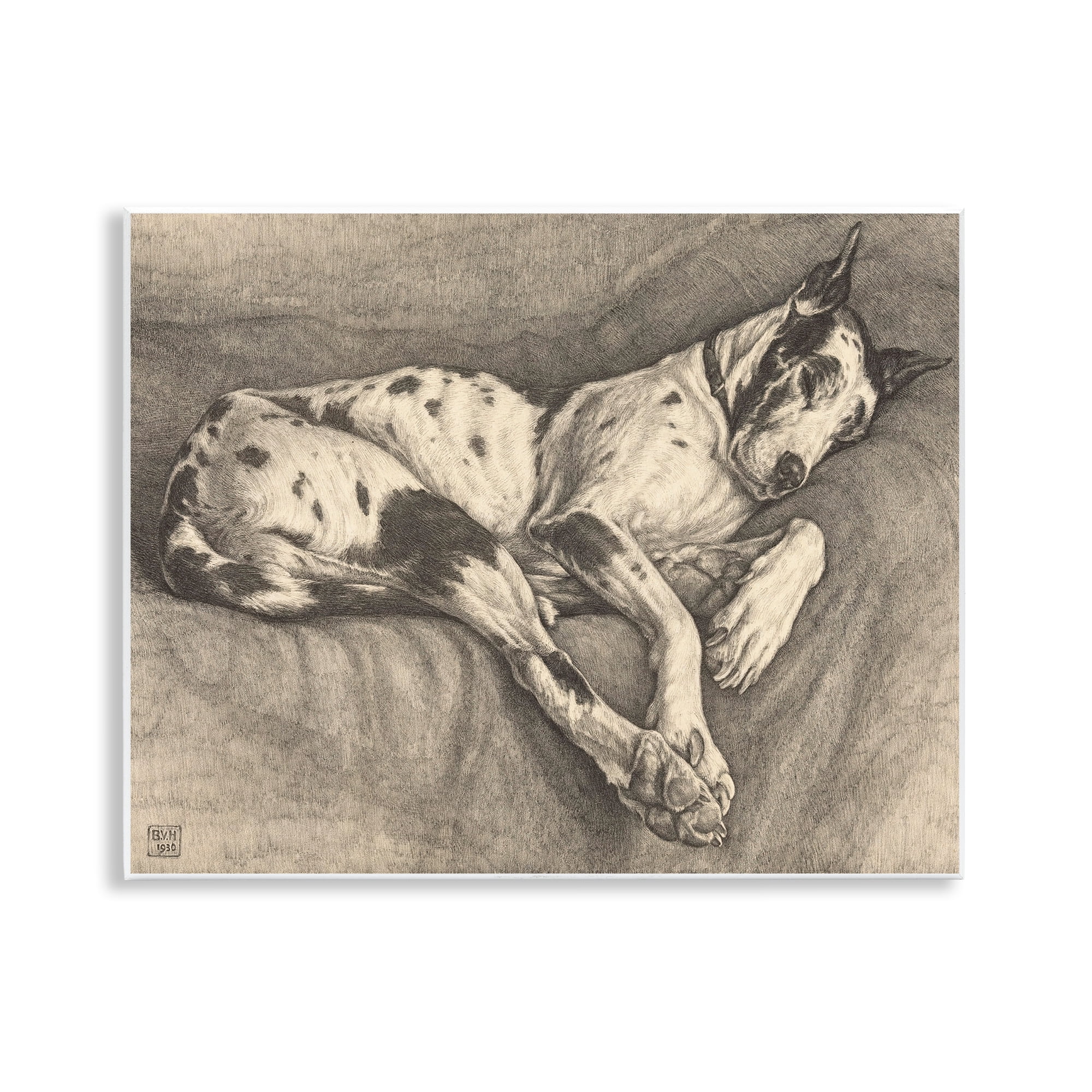 Stupell Industries Sleeping Hound Drawing Wall Plaque Art, design by Bertha Van Hasselt