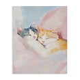 thumbnail image 1 of Stupell Industries Shabby Chic Sleeping Kittens Embrace Canvas Art, 24 x 30, by The Prints Vibe, 1 of 8