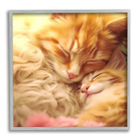 Stupell Industries Sleeping Orange Cats Animals & Insects Painting Gray Framed Art Print Wall Art, 12 x 12